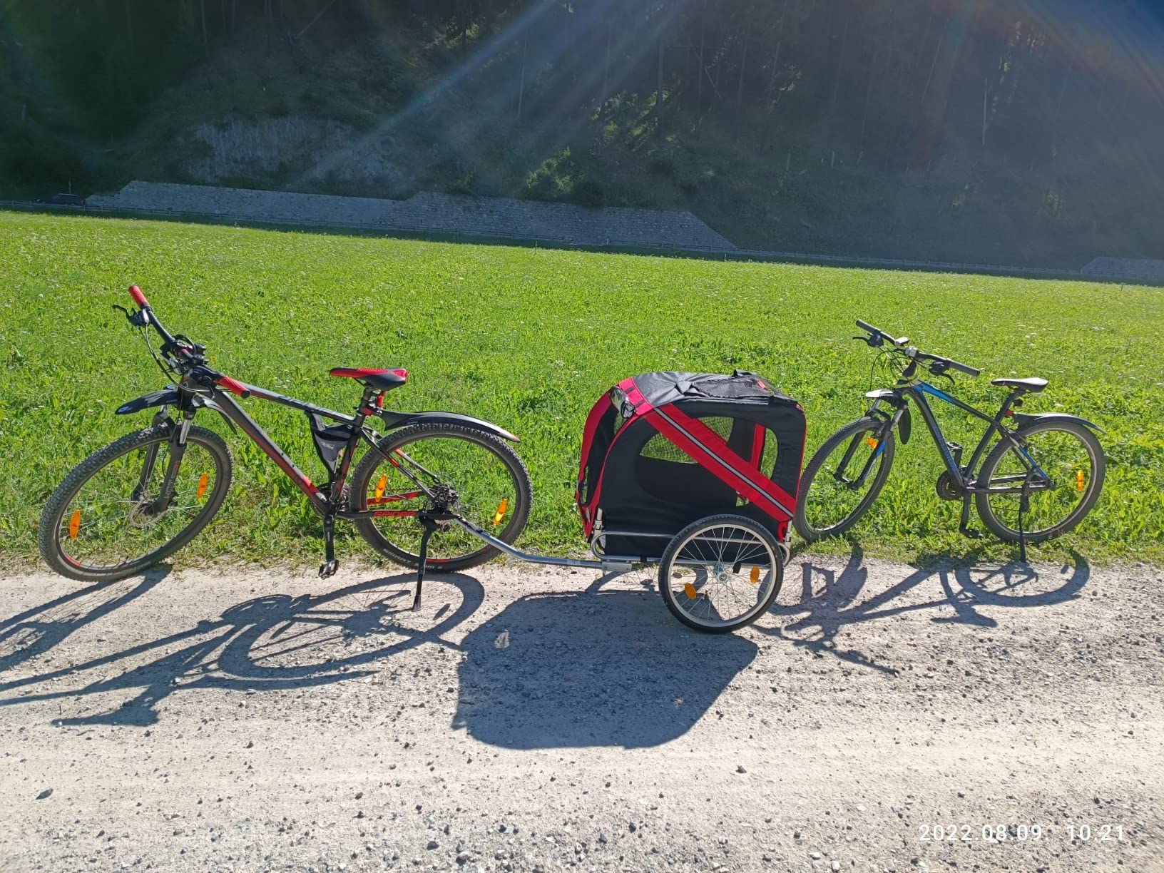 Wiltec Rimorchio Bici per Cani 40 kg con Parapioggia
