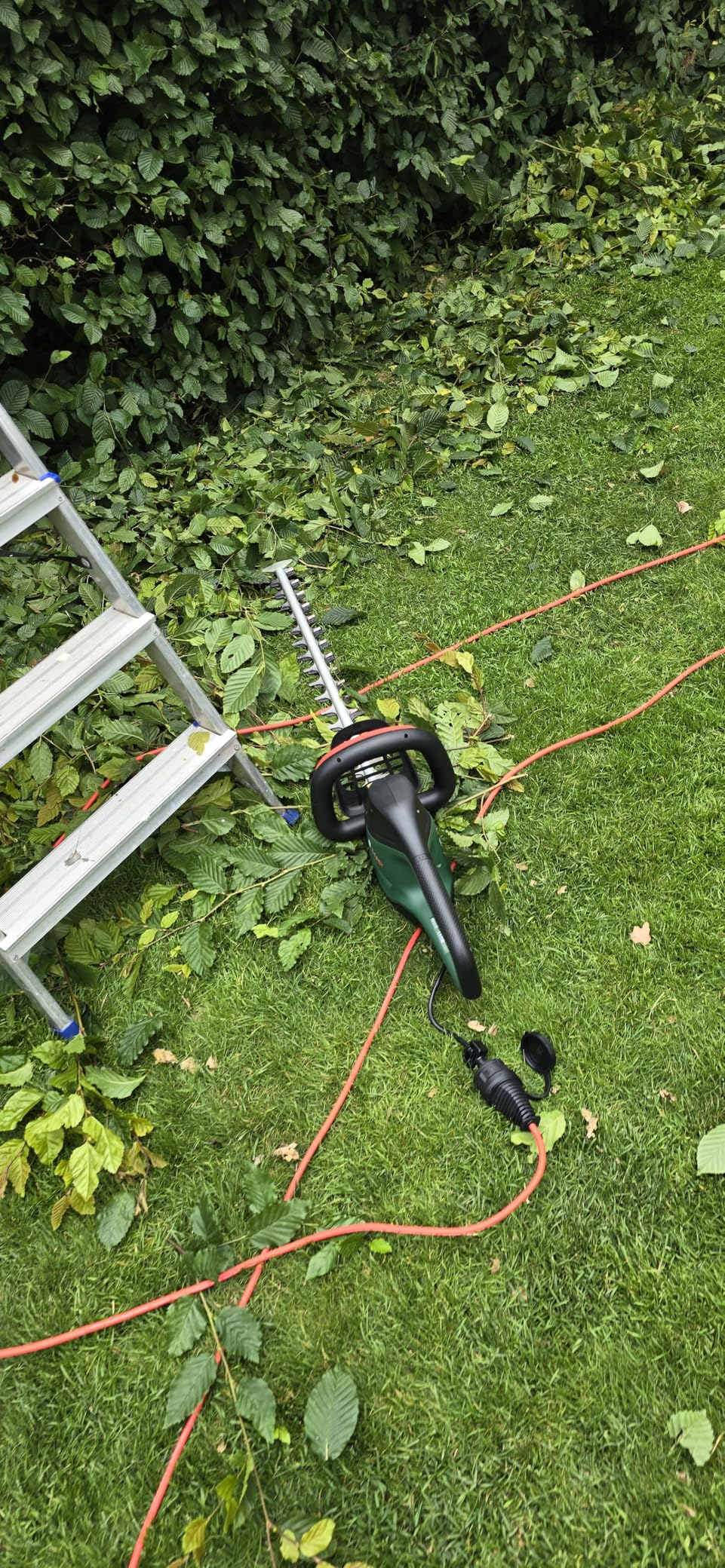 Bosch AdvancedHedgeCut 65 tagliasiepi elettrico 500W lama 65 cm