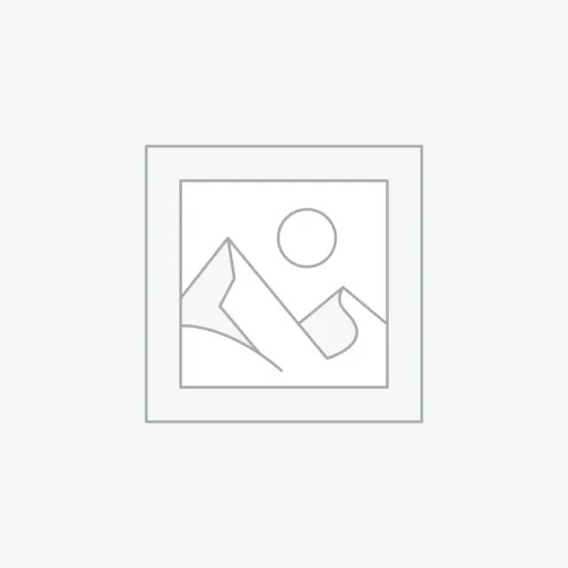 Bormann Pietra Affilatura 400/1000 180x60x30mm