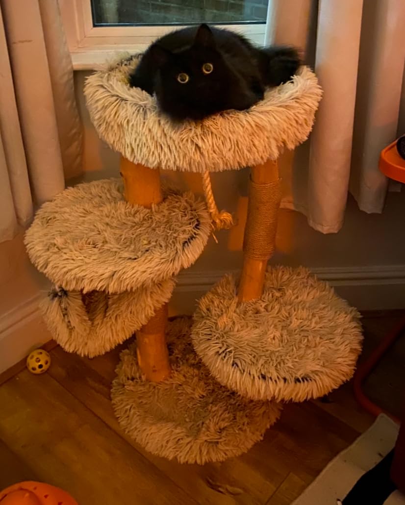 Fudajo Albero Tiragraffi Design 87,5 cm Legno Pero Peluche