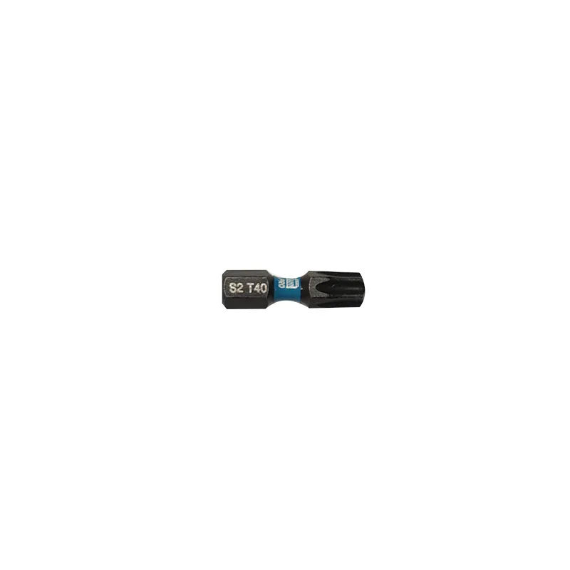 Bormann X-Pro inserto Torx T40x25mm 2pz impatto S2