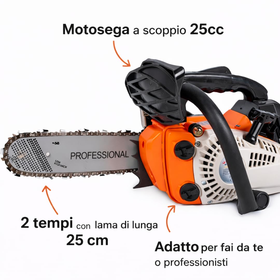 De Rosa Shop 25cc Motosega a Scoppio Lama 25 cm Potatura