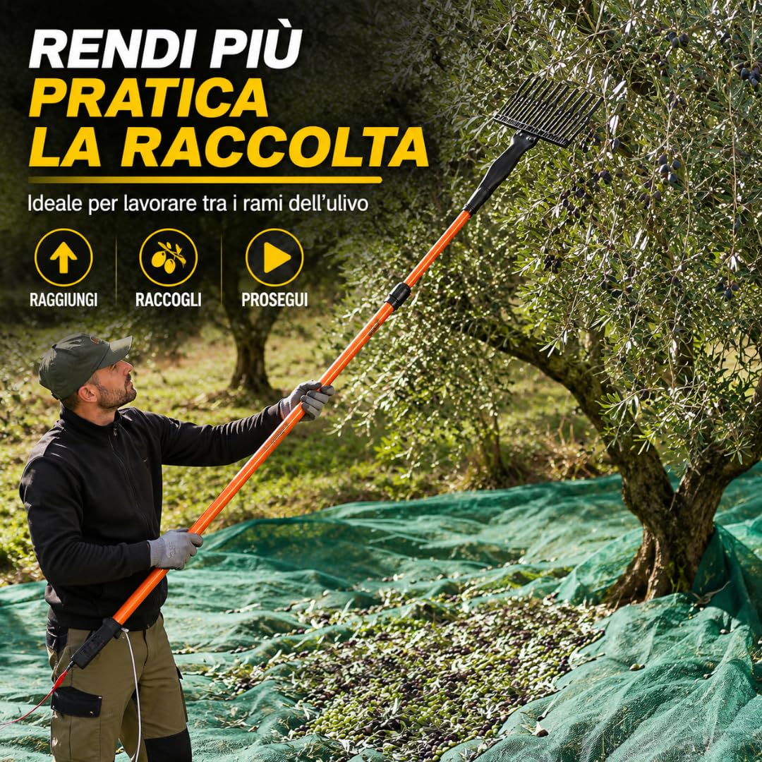 De Rosa Shop Abbacchiatore Olive 12V 400W Telescopico