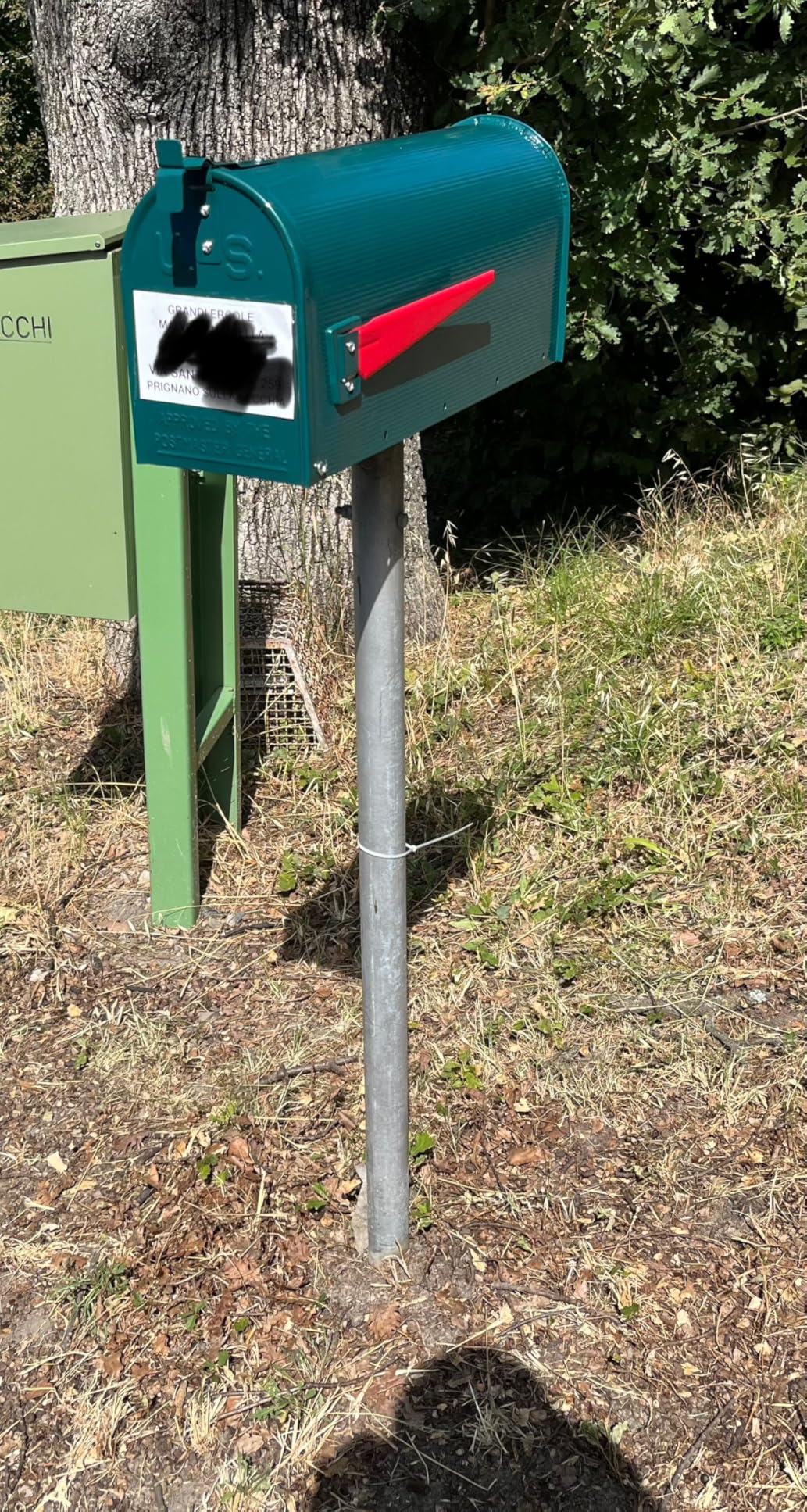 Wiltec Cassetta Postale Americana Verde in Acciaio