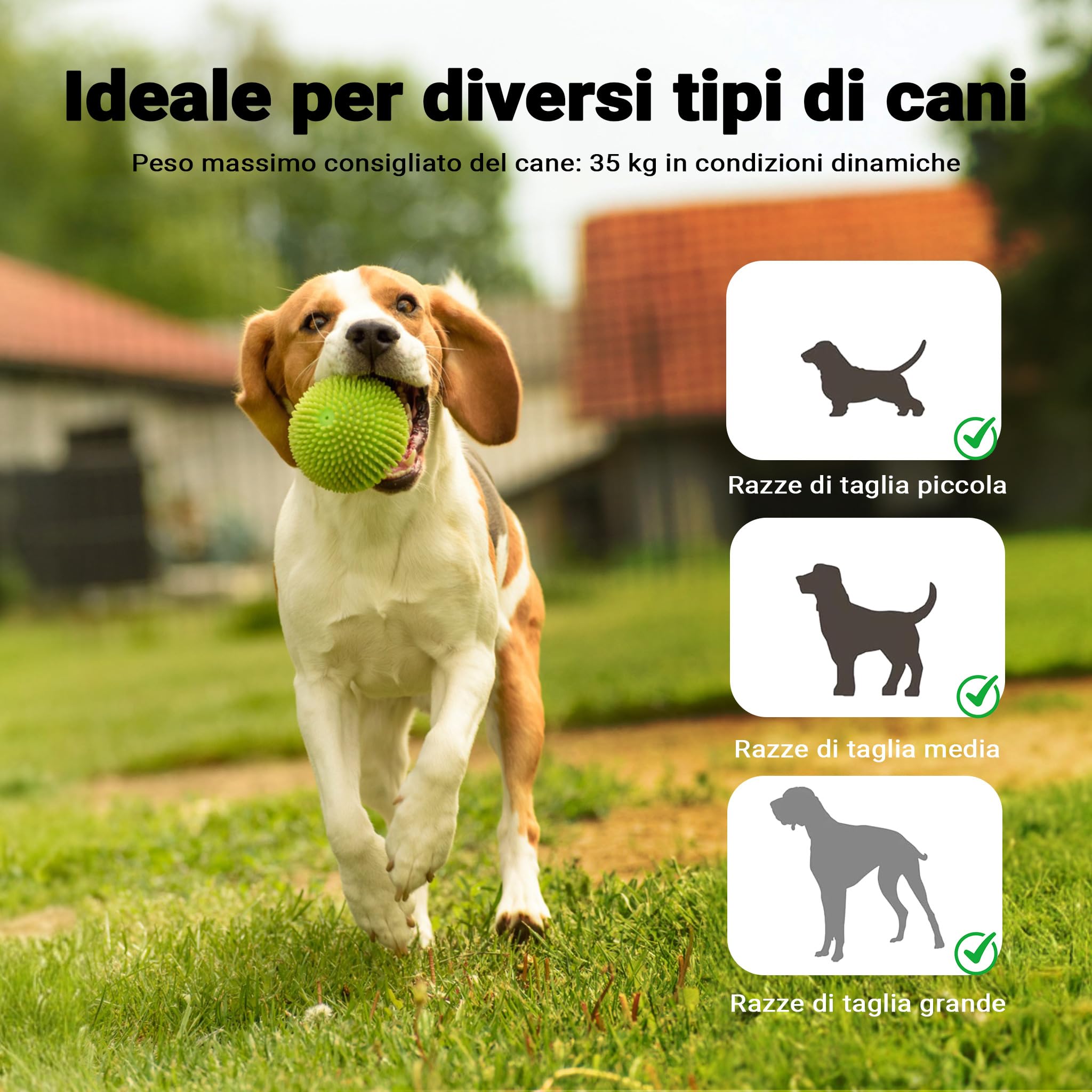 Wiltec Bascula Agility Dog altalena cani 180 cm antiscivolo