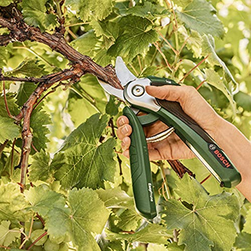 Bosch EasyPrune lama ricambio inox bypass