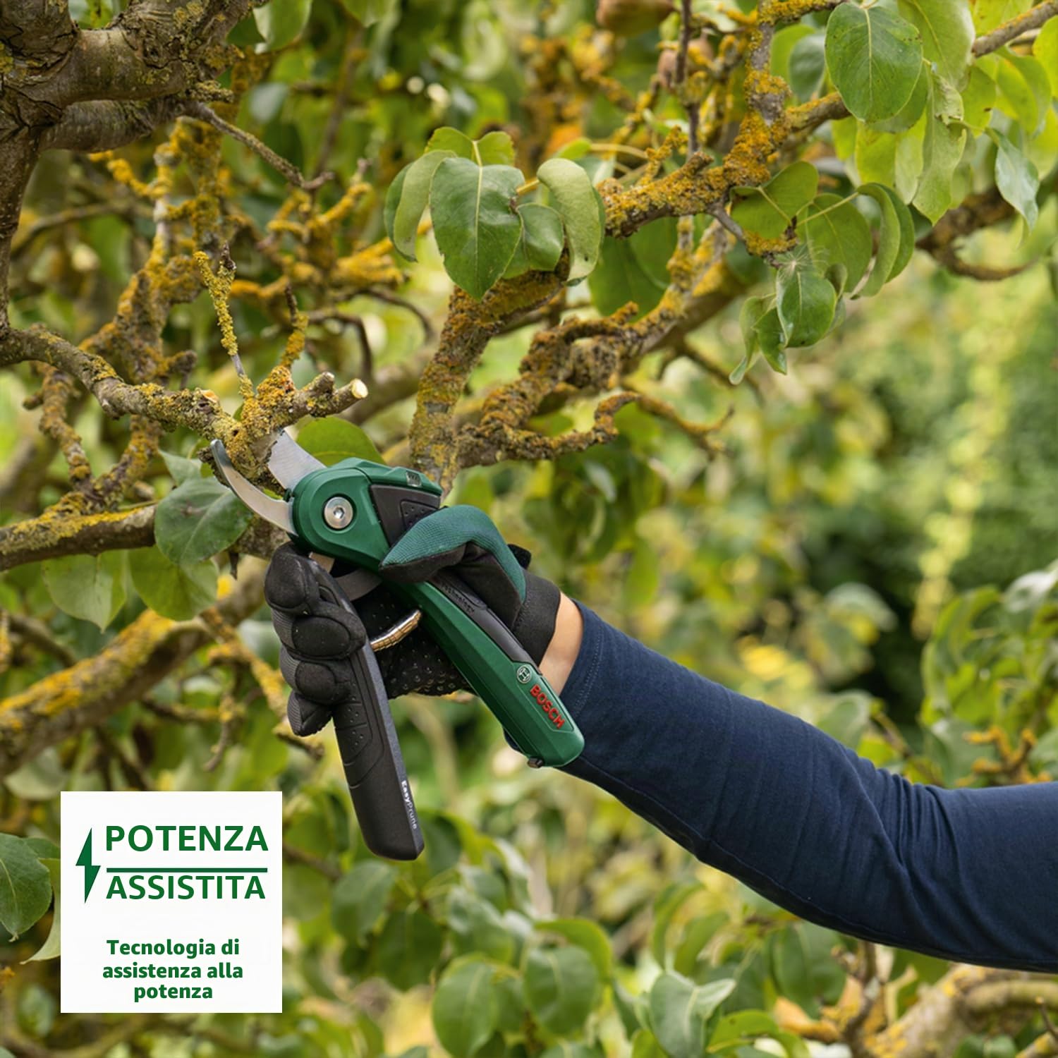 Bosch EasyPrune forbici potatura batteria fino 25 mm