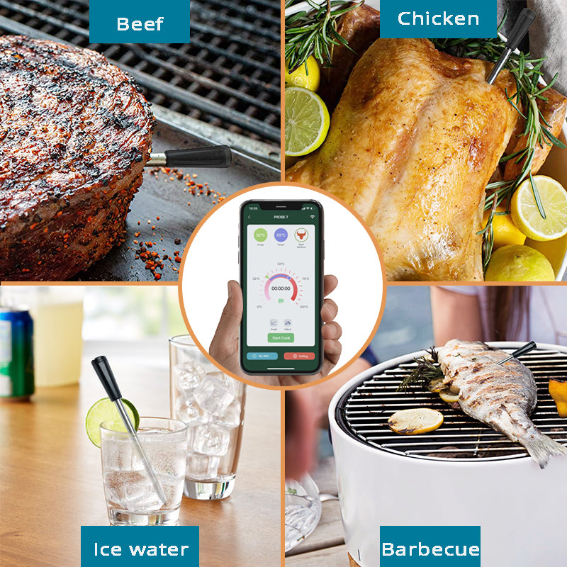 Tilswall Termometro Carne Wireless Bluetooth Sonda Inox