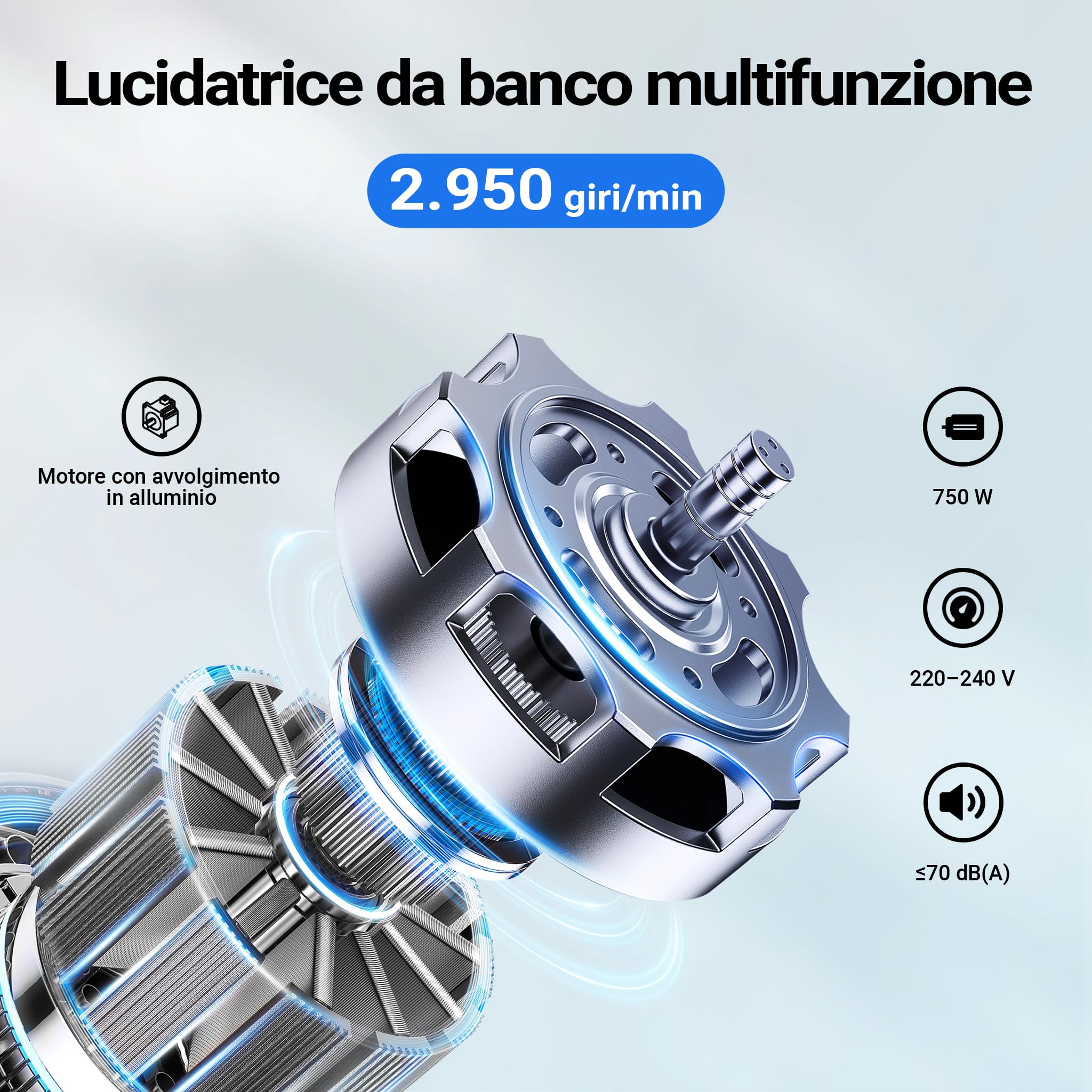 Wiltec Lucidatrice 750W doppia dischi 200 mm banco