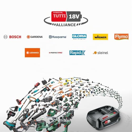 Bosch EasyOrbit 18V-10 Levigatrice 125mm Kit 2.0Ah