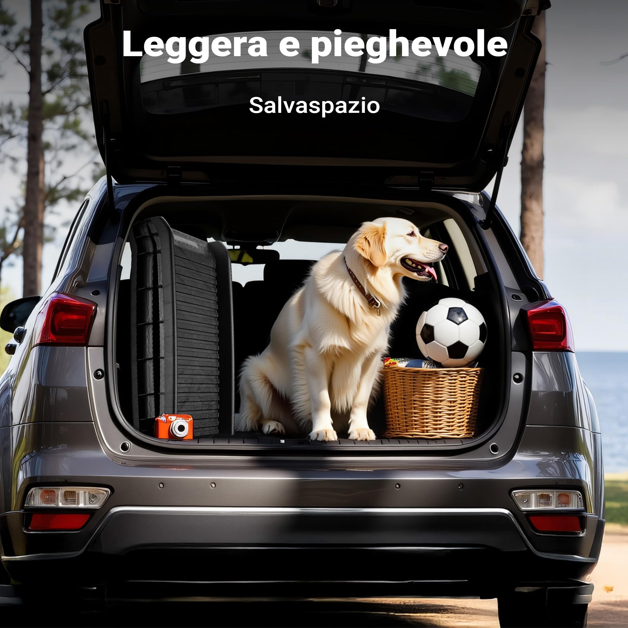 Wiltec Rampa Cani Pieghevole Antiscivolo 156x40 cm Nera