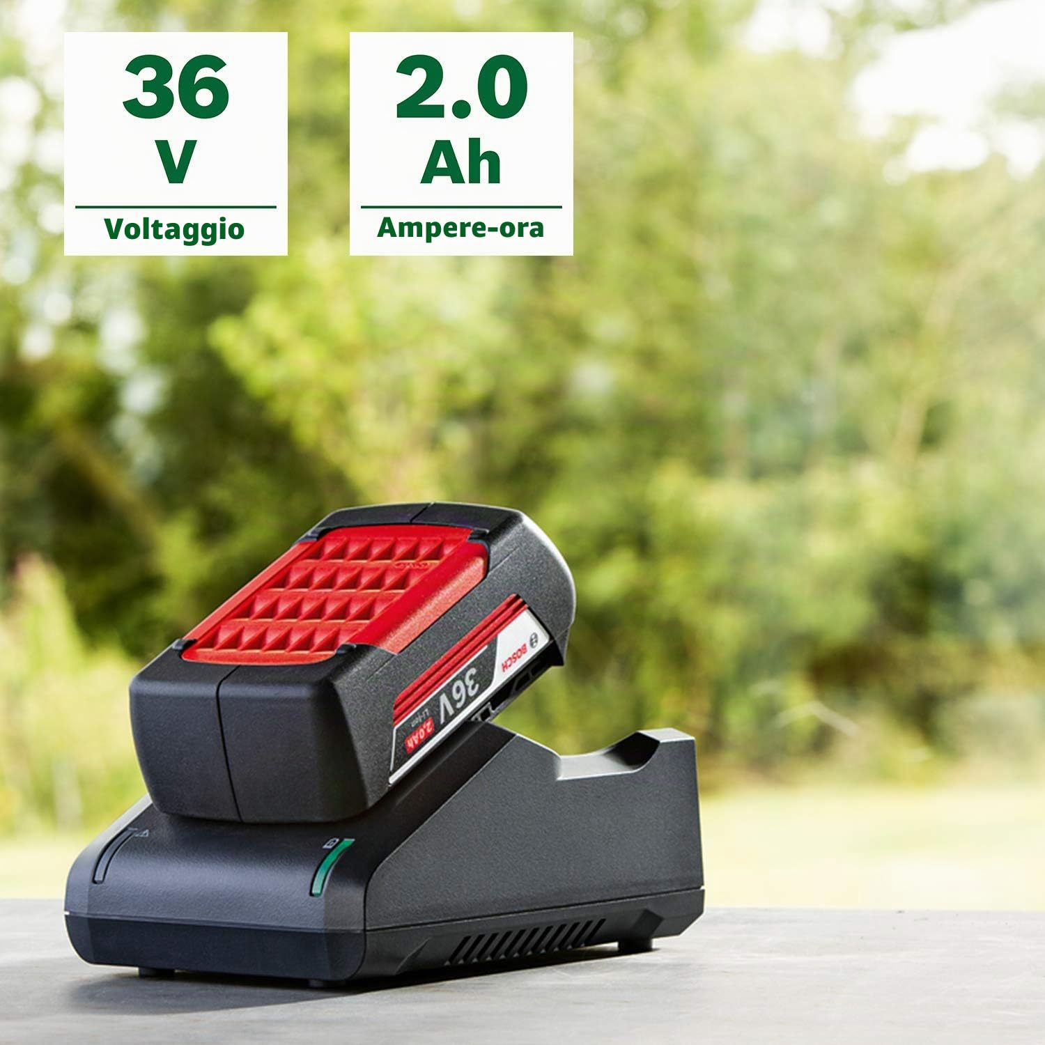 Bosch Starter Set 36V batteria 2.0Ah giardino 2 pezzi