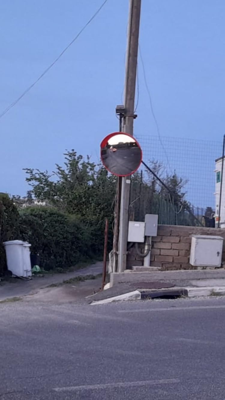 Wiltec Specchio Parabolico Traffico 80 cm da Esterno