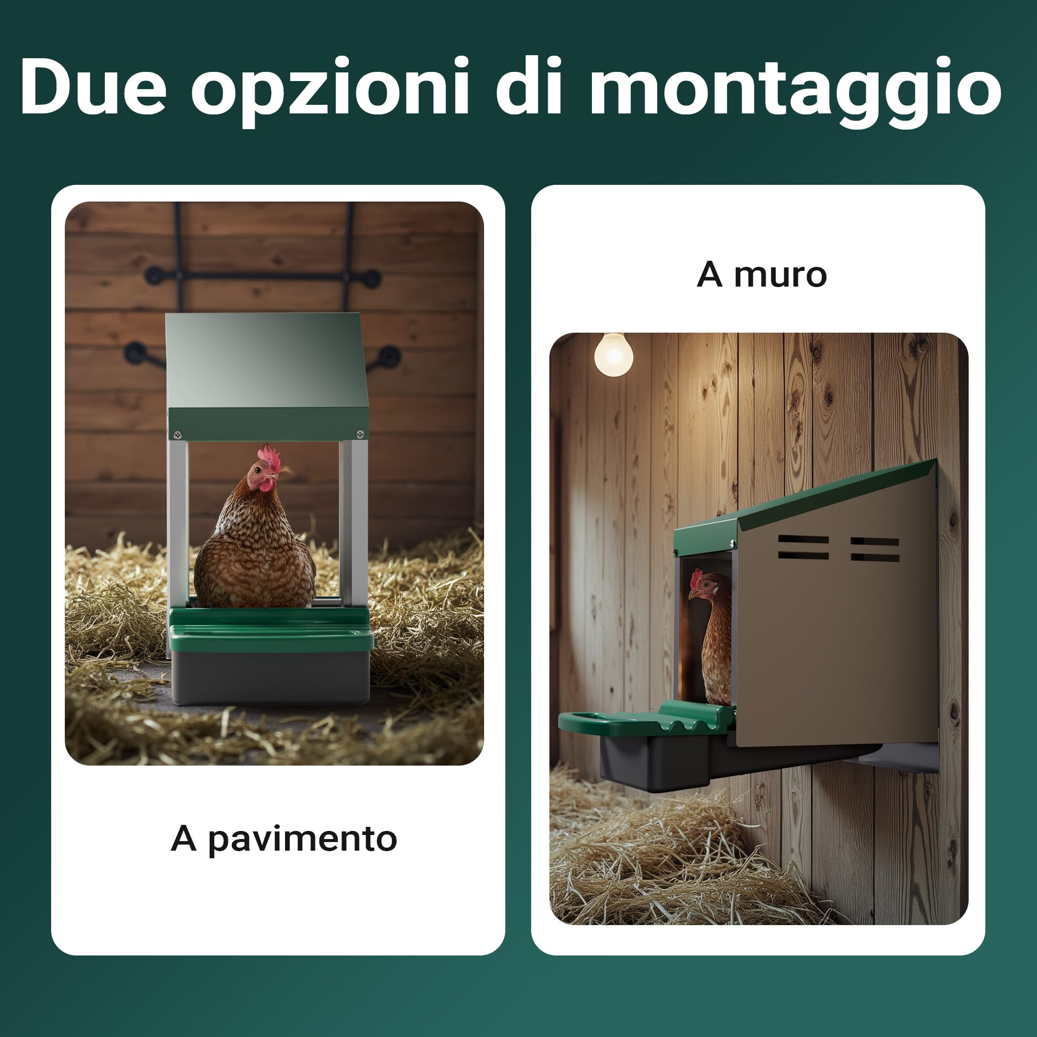 Fudajo Nido Galline Ovaiole 27x52x48 cm con Vassoio