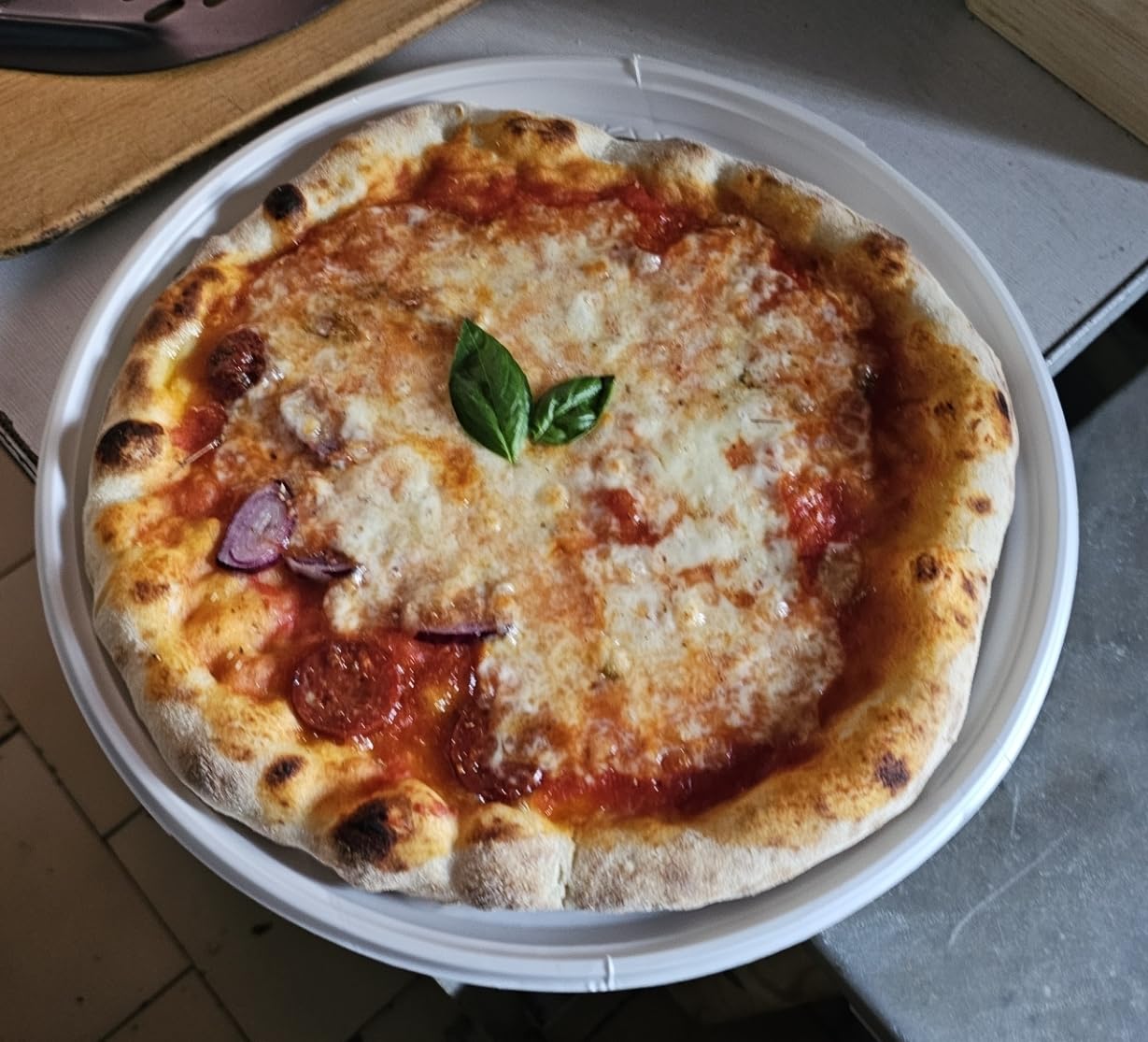Wiltec Forno pizza elettrico 2 livelli 3000W 350°C