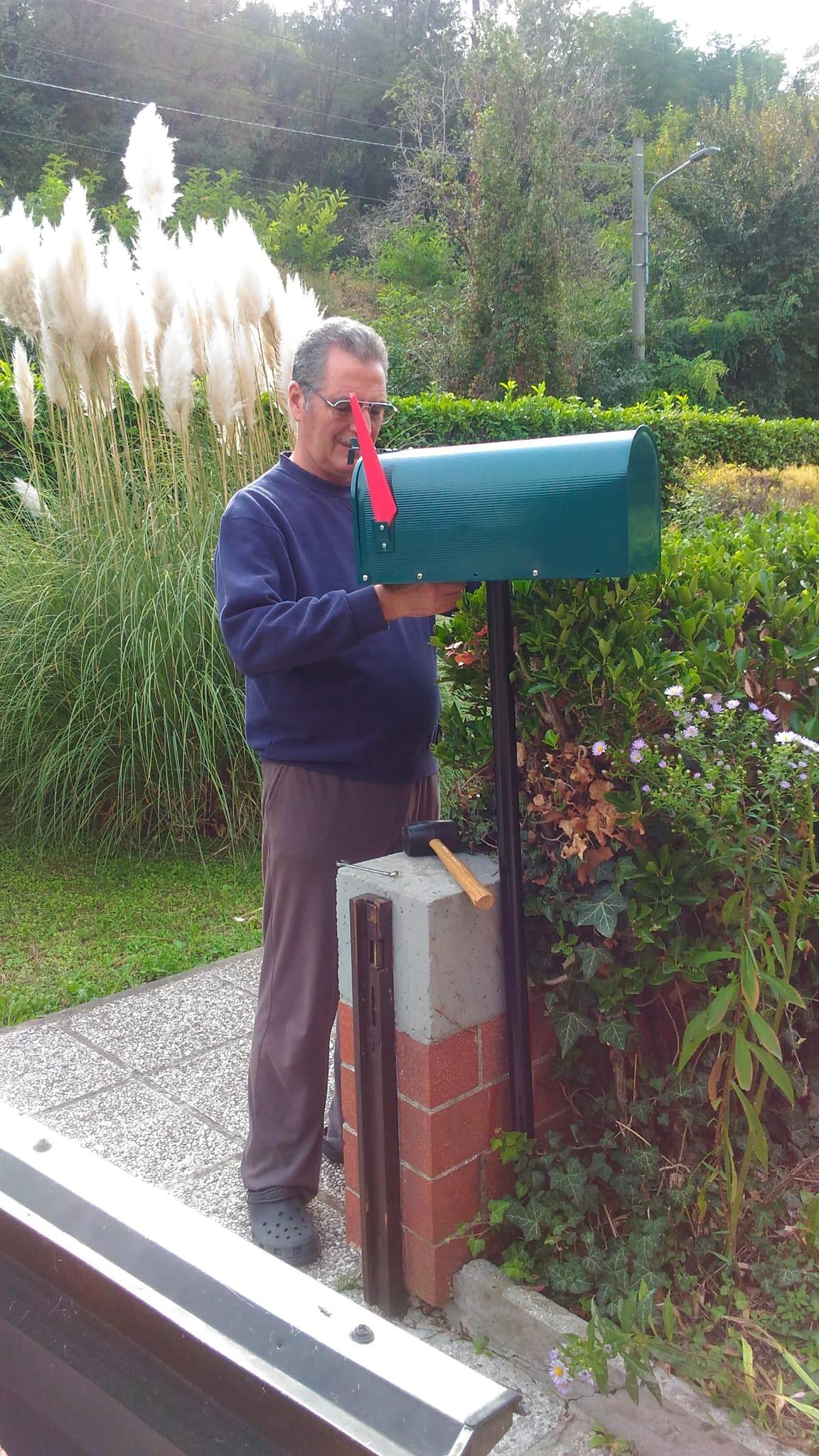 Wiltec Cassetta Postale Americana Verde in Acciaio