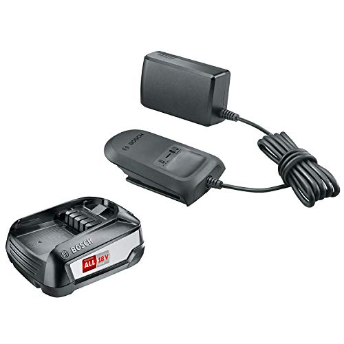 Bosch Starter Set 1600A01T9S batteria 18V 2,5Ah + caricabatterie