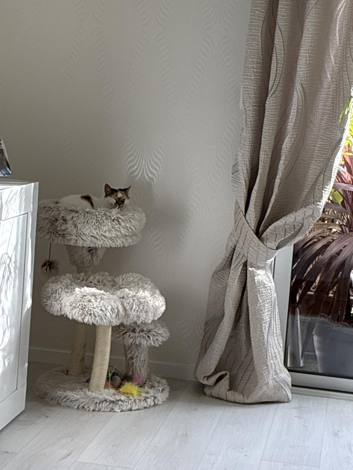 Fudajo Albero Tiragraffi Gatti 125 cm Beige 3 Piattaforme