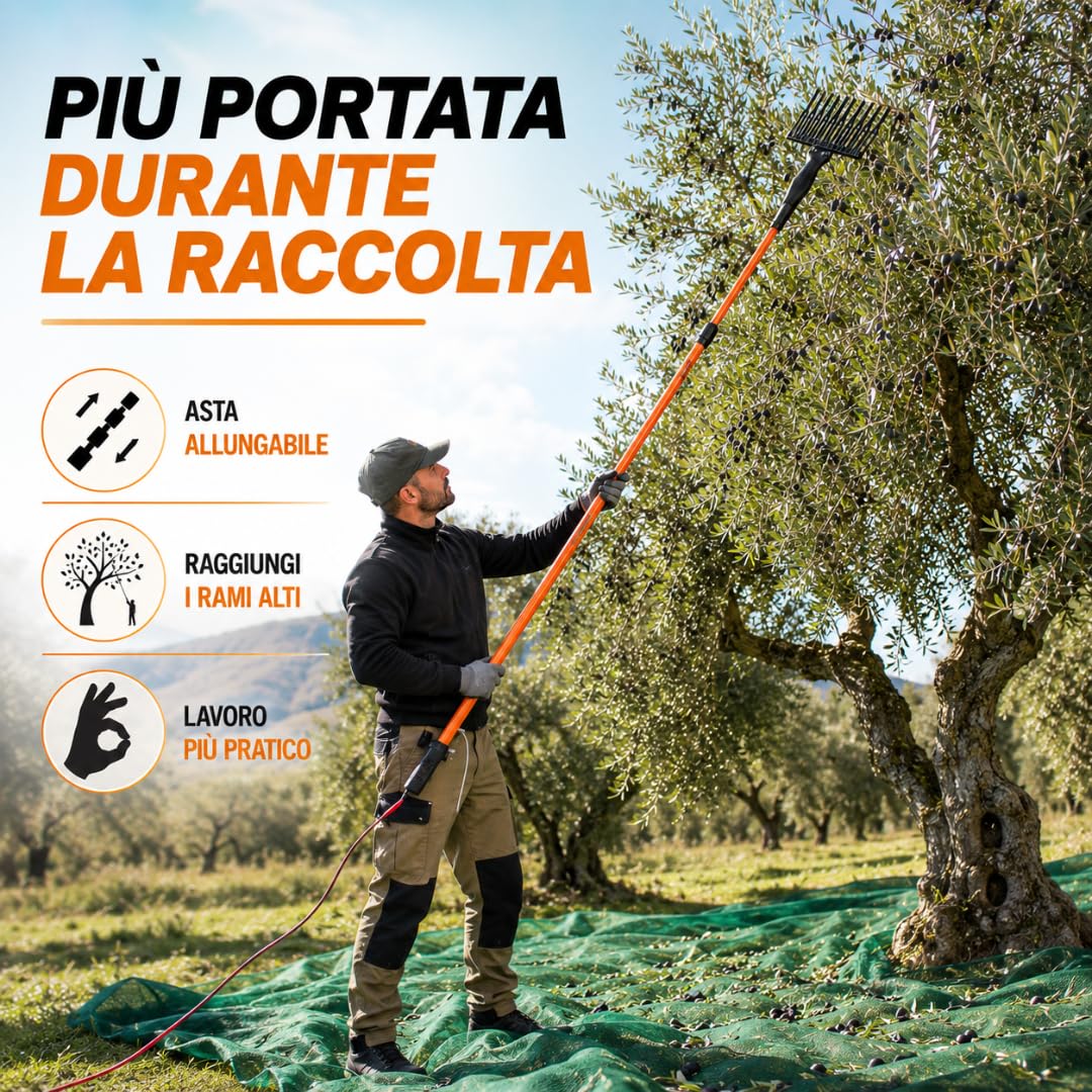 De Rosa Shop Abbacchiatore Olive 12V 400W Telescopico