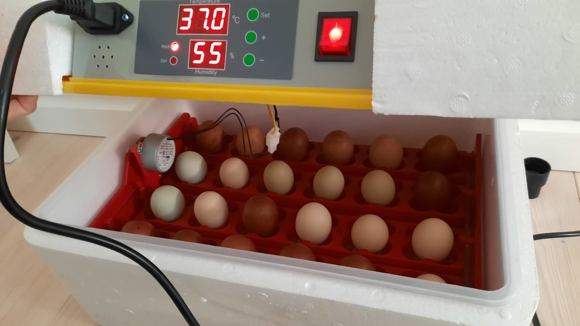 Wiltec Incubatrice Automatica 24 Uova con Controllo Umidità
