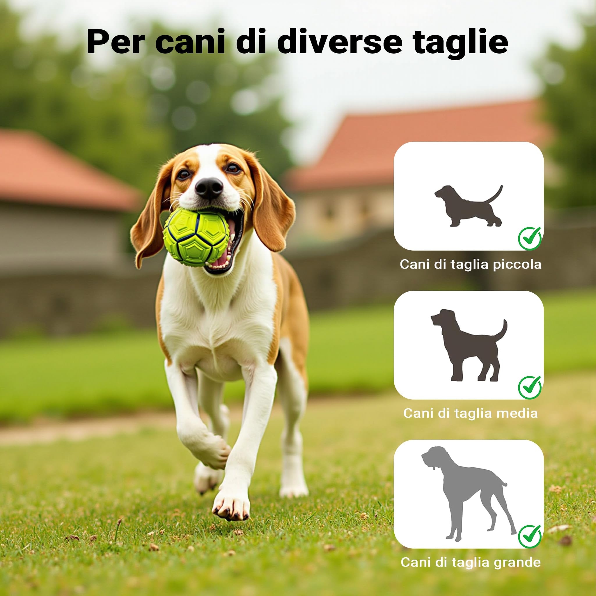 Wiltec Rampa Cani Pieghevole Antiscivolo 156x40 cm Nera