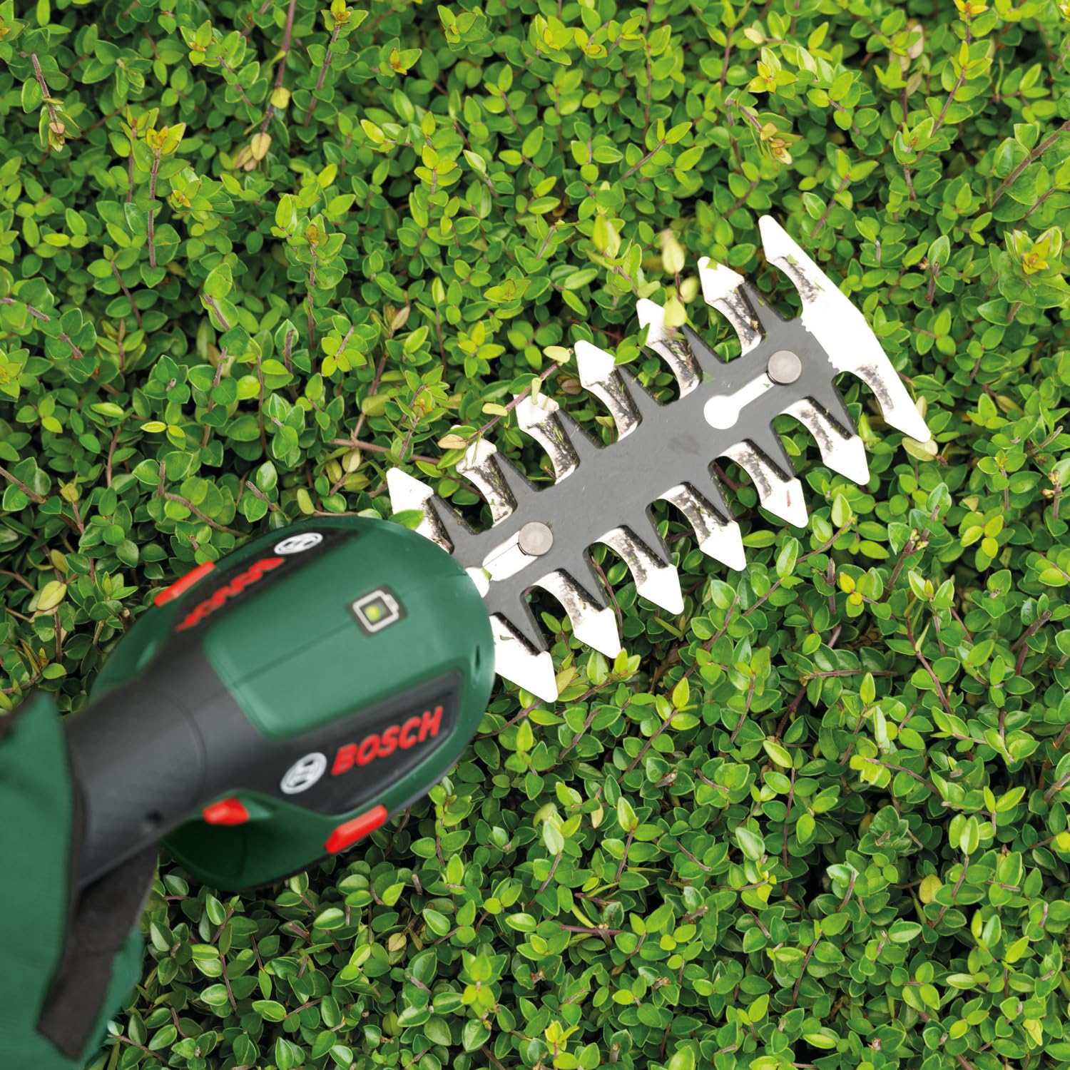 Bosch ISIO 4V forbici erba e sfoltirami batteria 80+120 mm