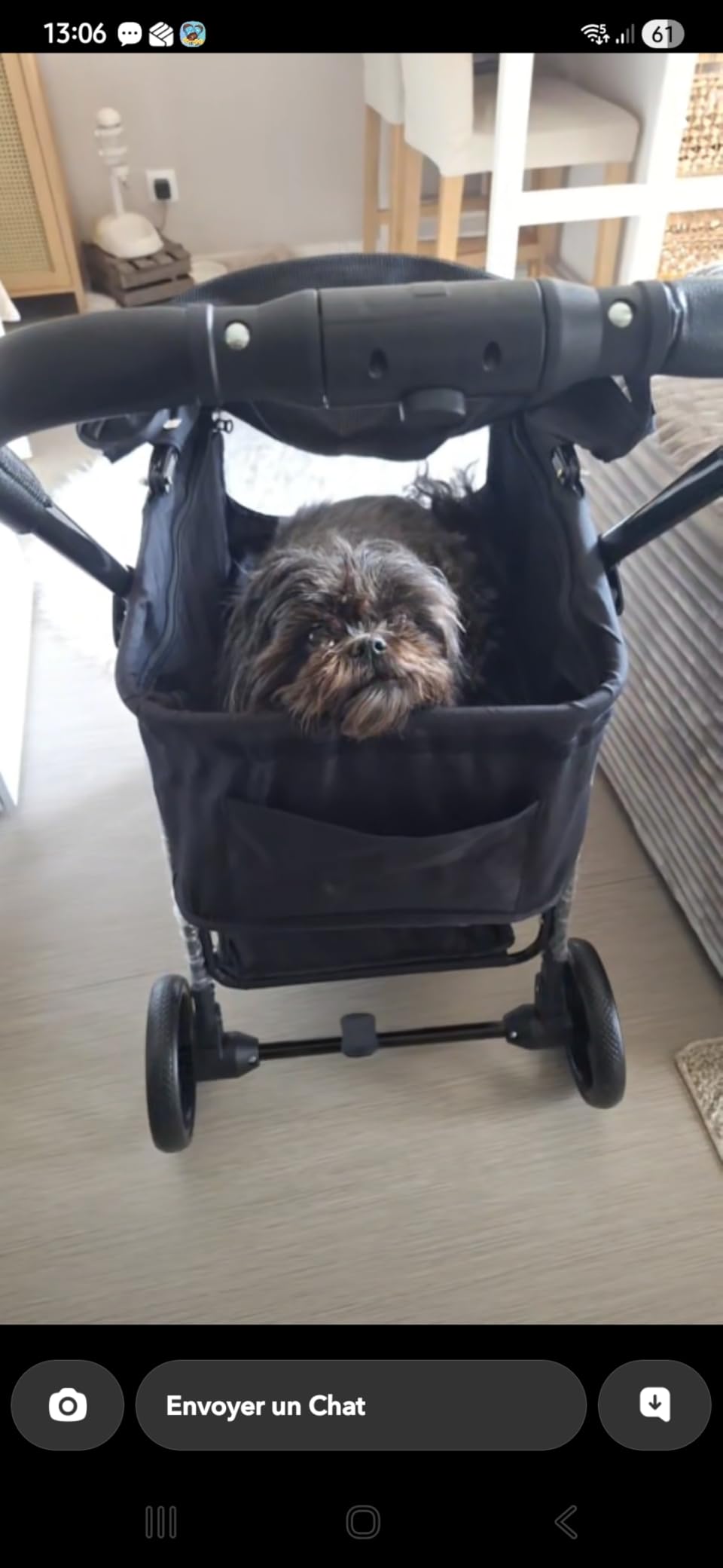 Fudajo 2in1 passeggino per cani nero 15 kg