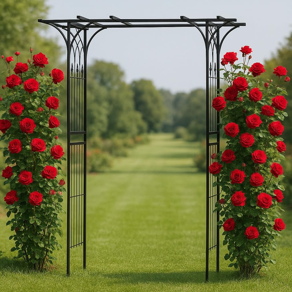 Wiltec Arco giardino rose 205x50x208cm acciaio nero