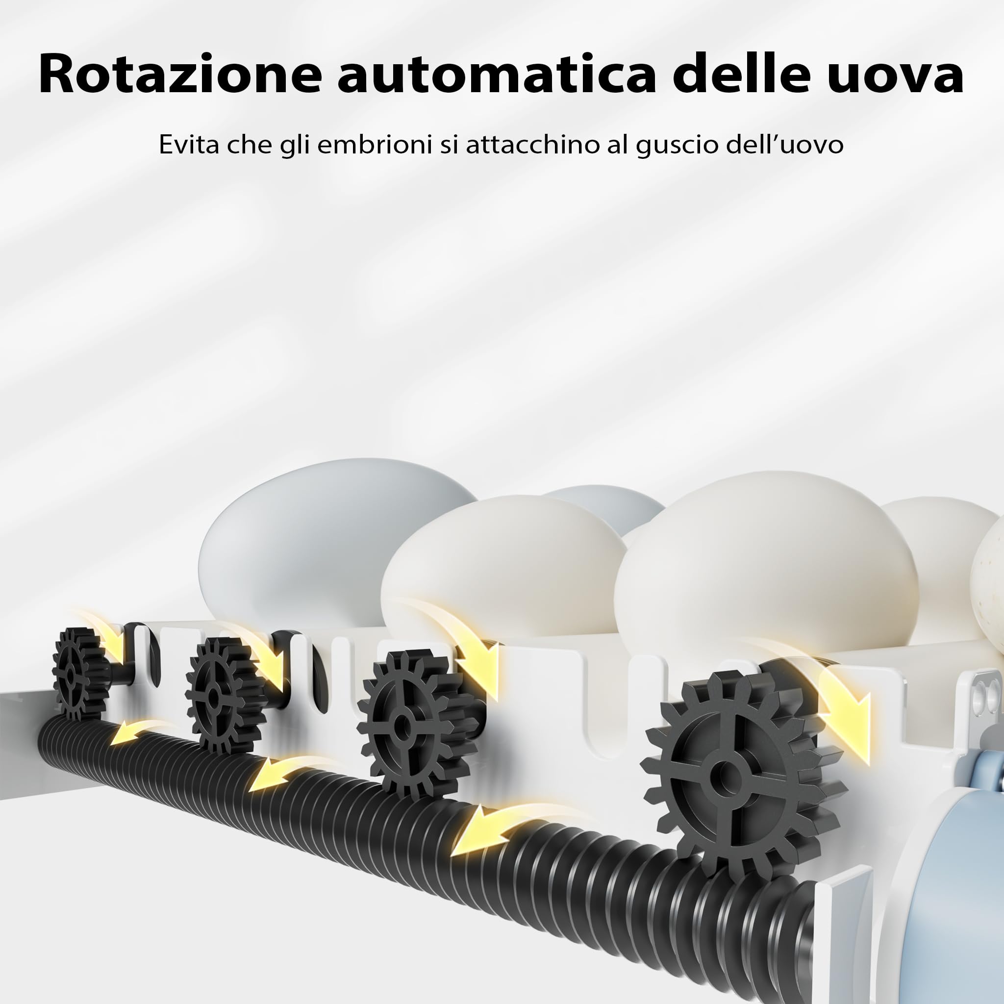 Wiltec Fudajo incubatrice automatica 24 uova 80W