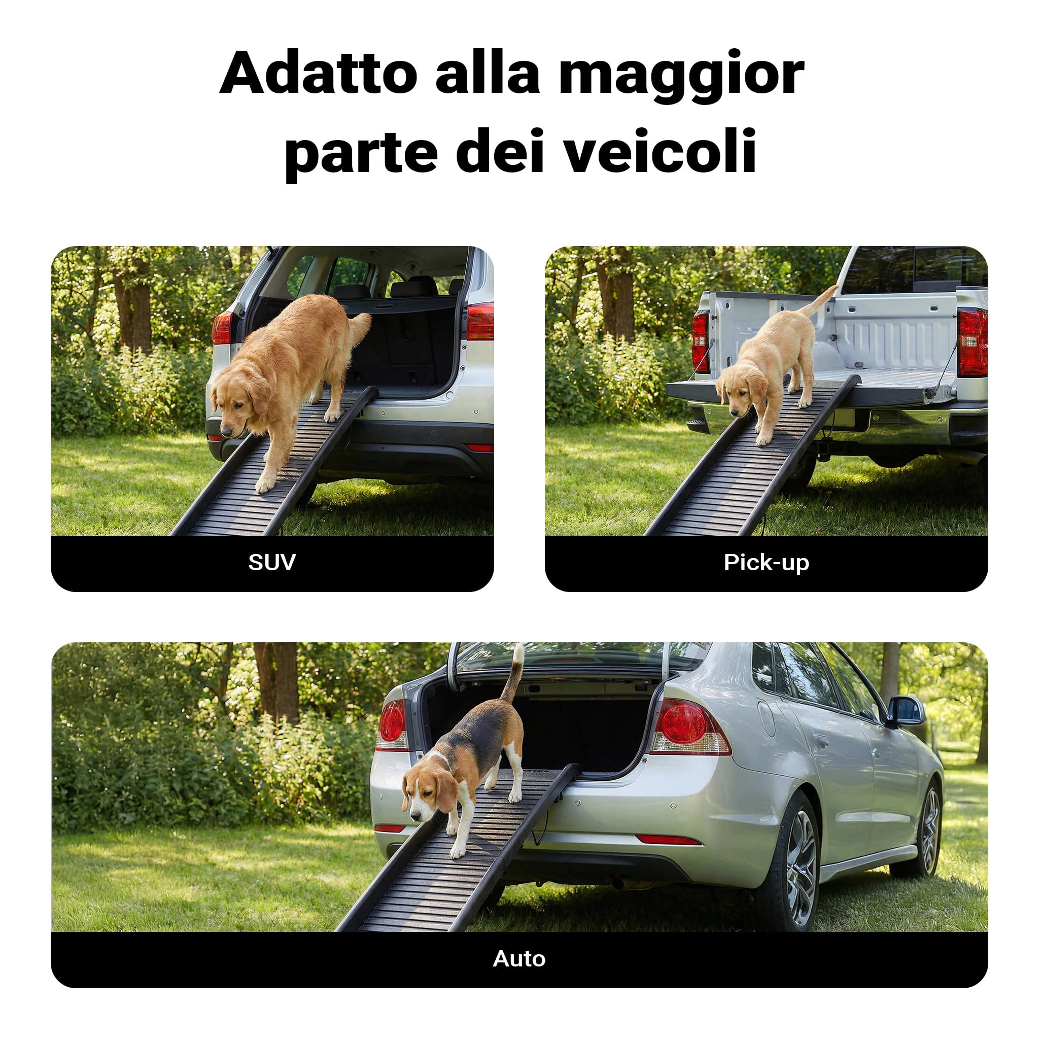 Wiltec Rampa Cani Pieghevole Antiscivolo 156x40 cm Nera