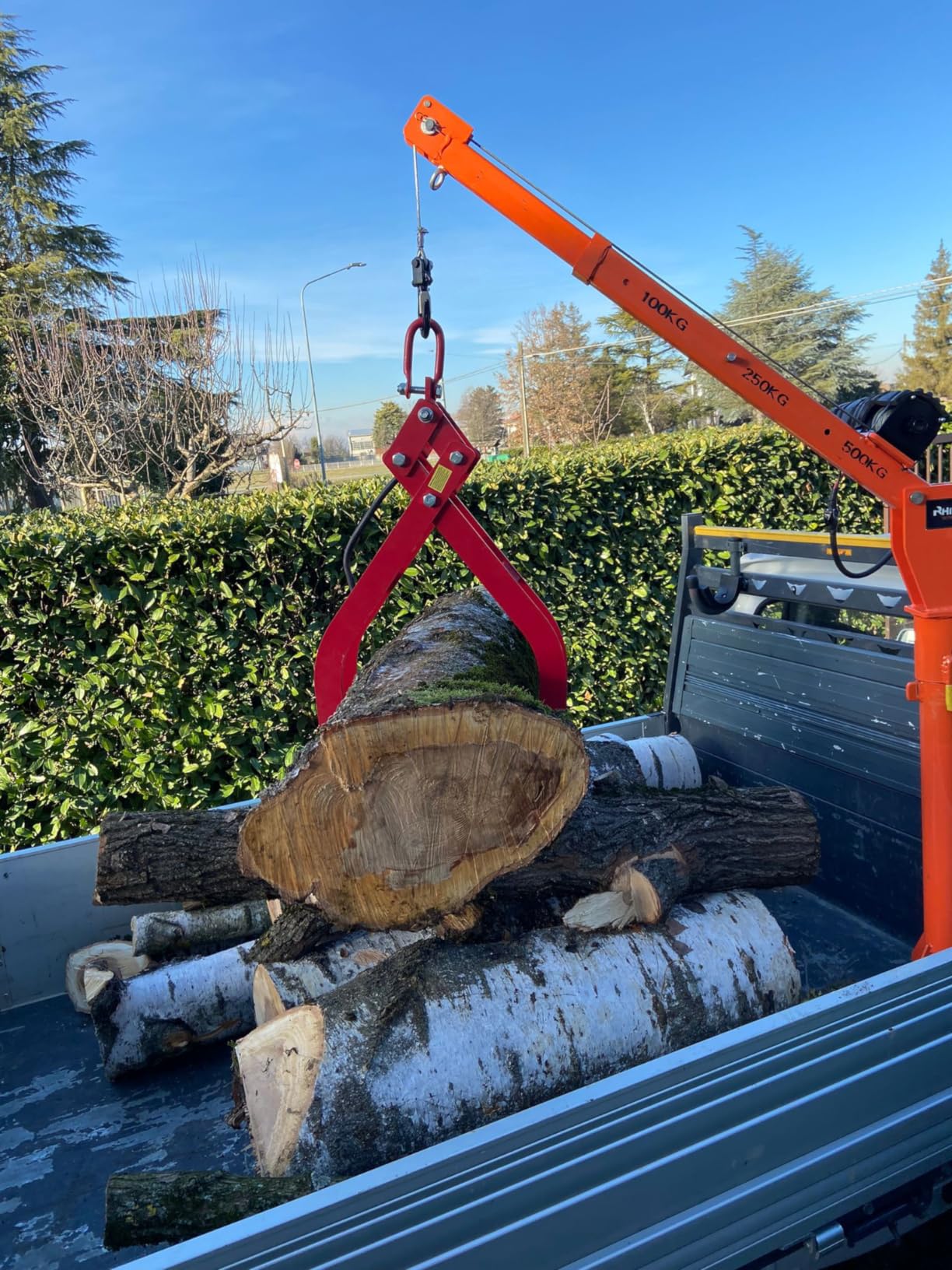 Wiltec Pinza Forestale Tronchi 850 mm 1500 kg Rossa