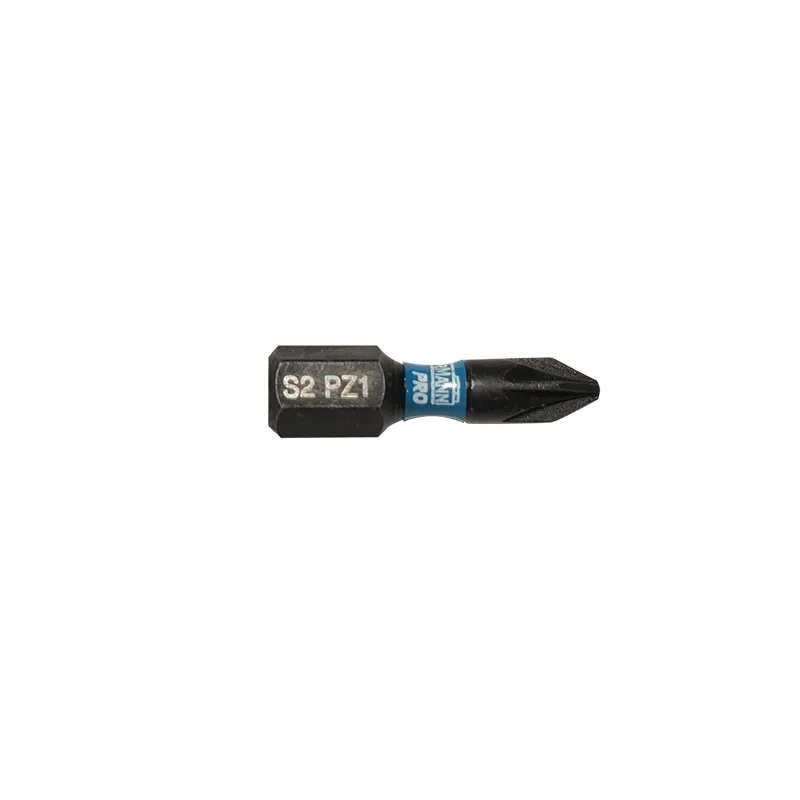 Bormann X-Pro Inserto PZ1x25mm S2 a Percussione 2pz