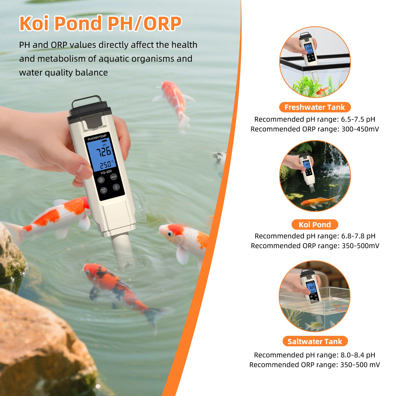 Tilswall Tester Acqua 3 in 1 pH ORP Temperatura