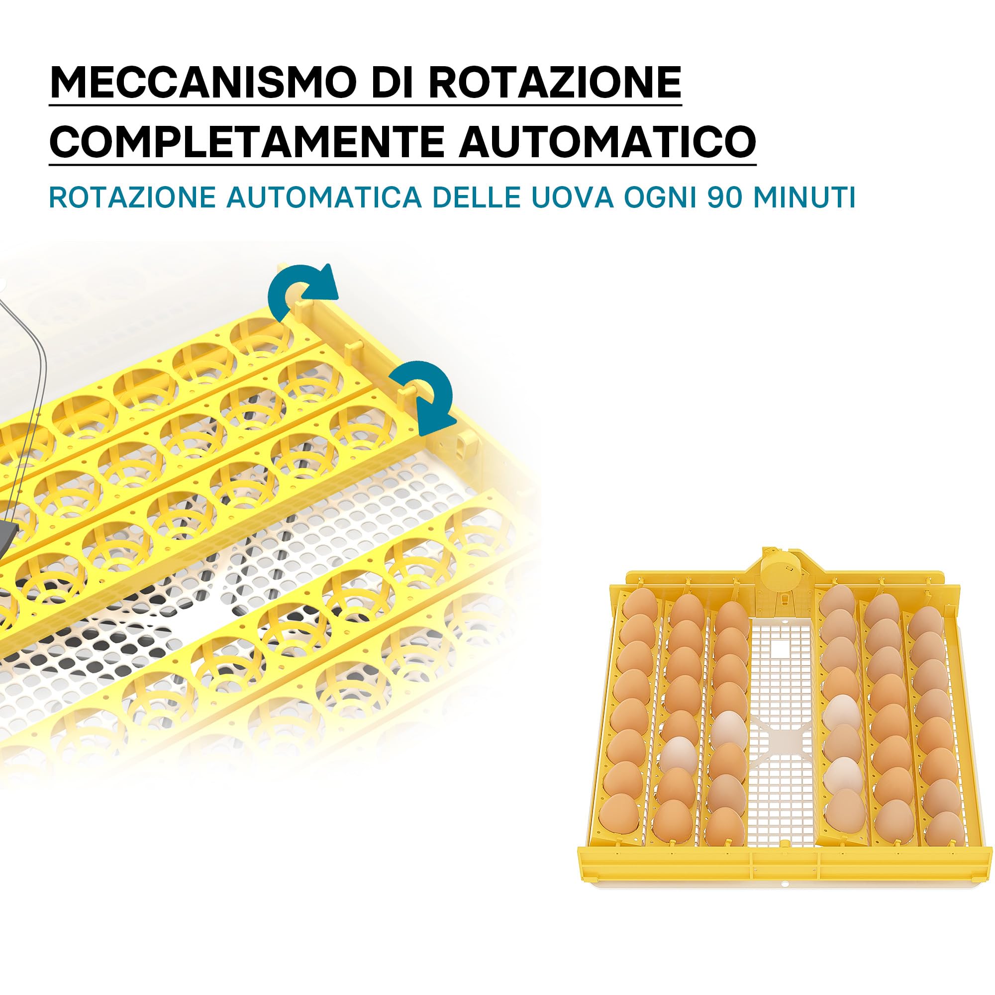 Wiltec Incubatrice automatica 48 uova temperatura umidità