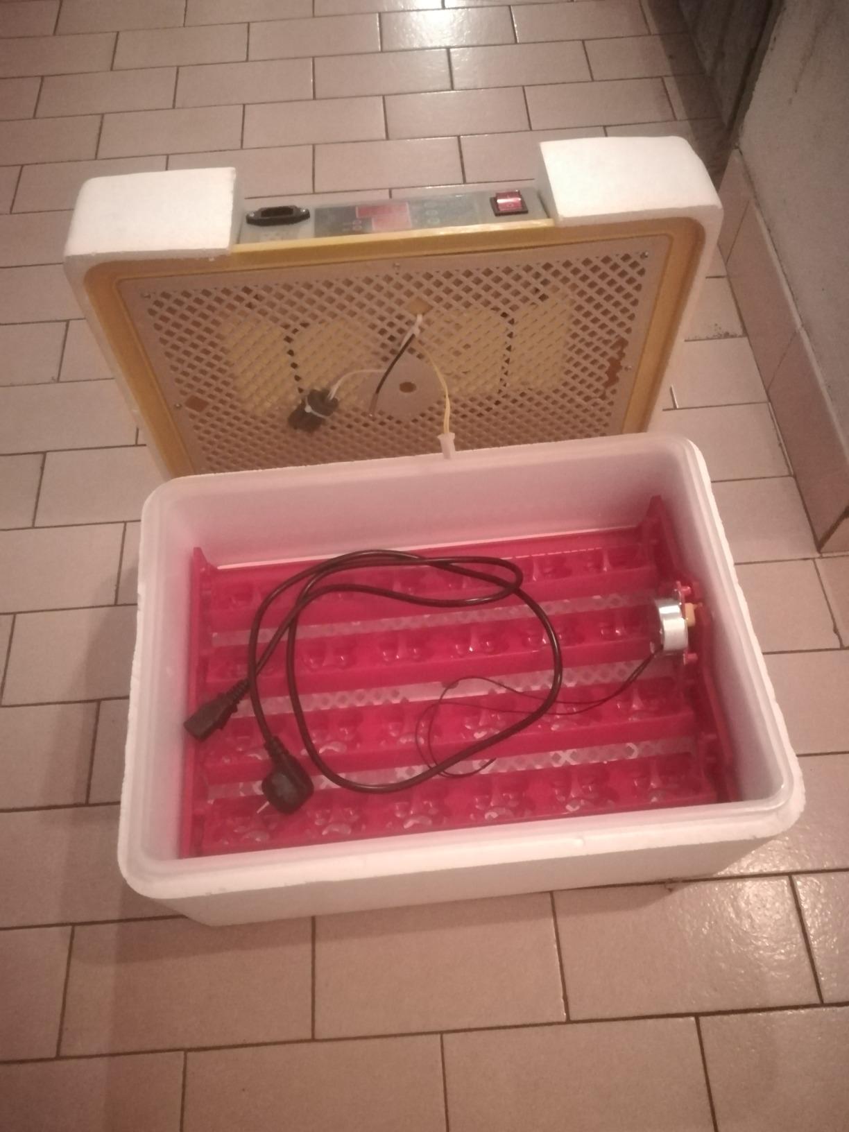 Wiltec Incubatrice Automatica 24 Uova con Controllo Umidità