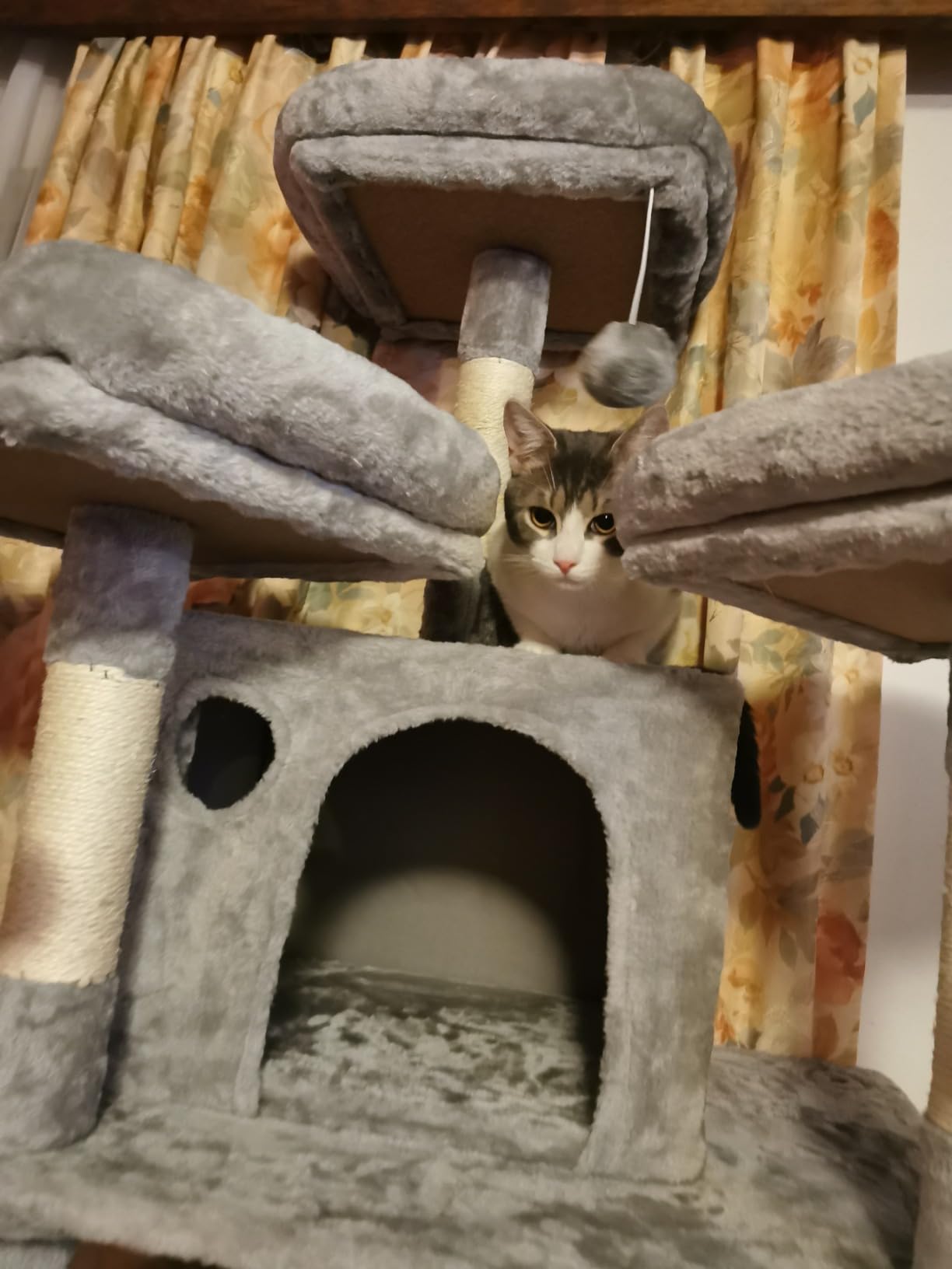 Fudajo Albero tiragraffi gatti 198 cm grigio sisal amache
