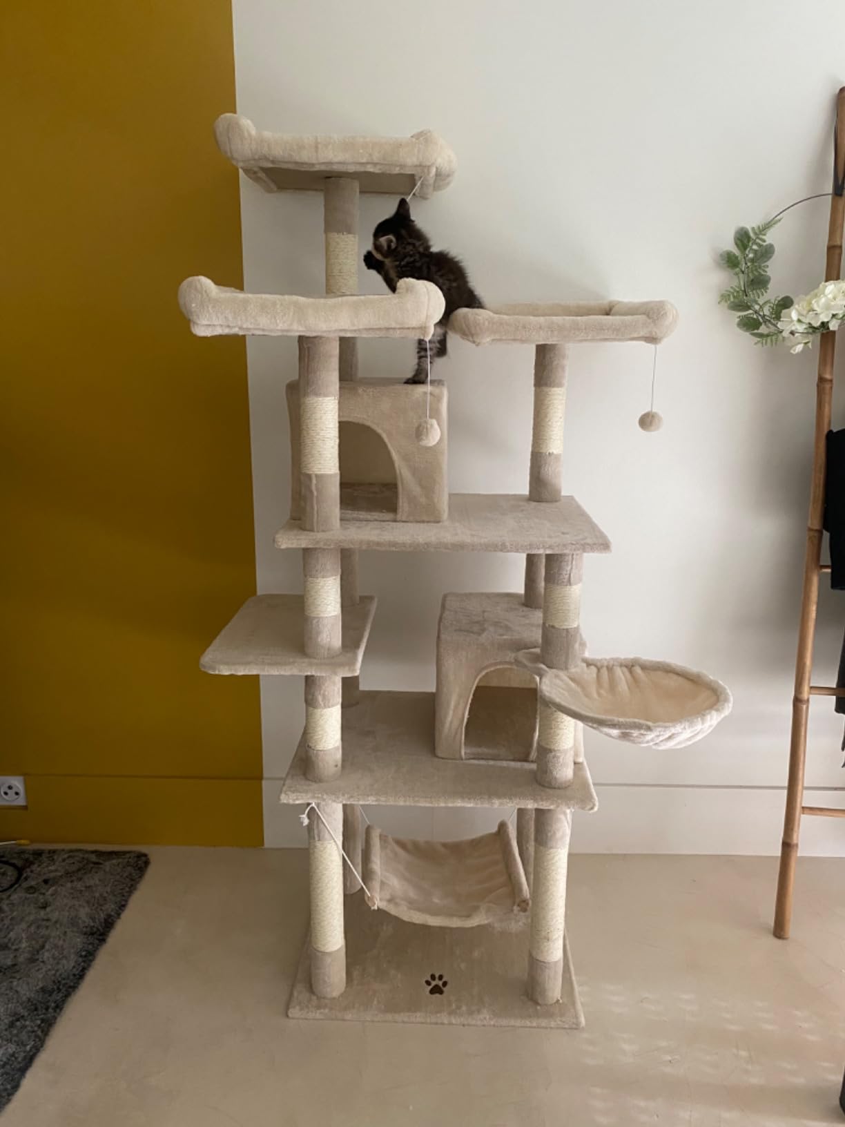 Wiltec Albero tiragraffi beige 172 cm 2 cuccette