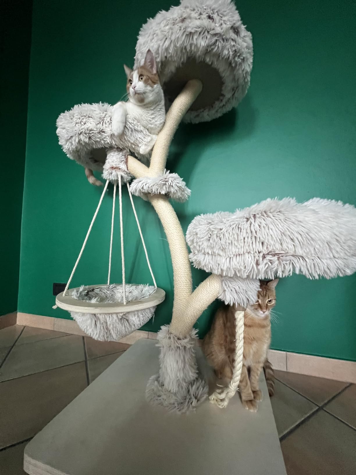 Fudajo Albero Tiragraffi Gatti 125 cm Beige 3 Piattaforme