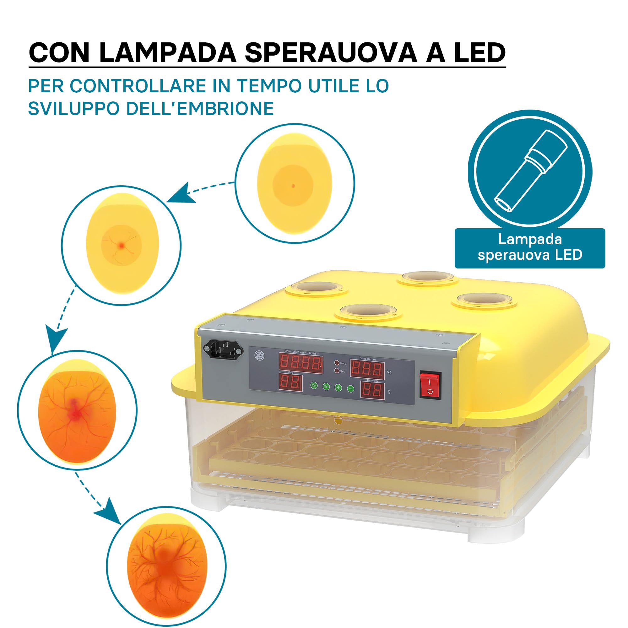 Wiltec Incubatrice automatica 48 uova temperatura umidità
