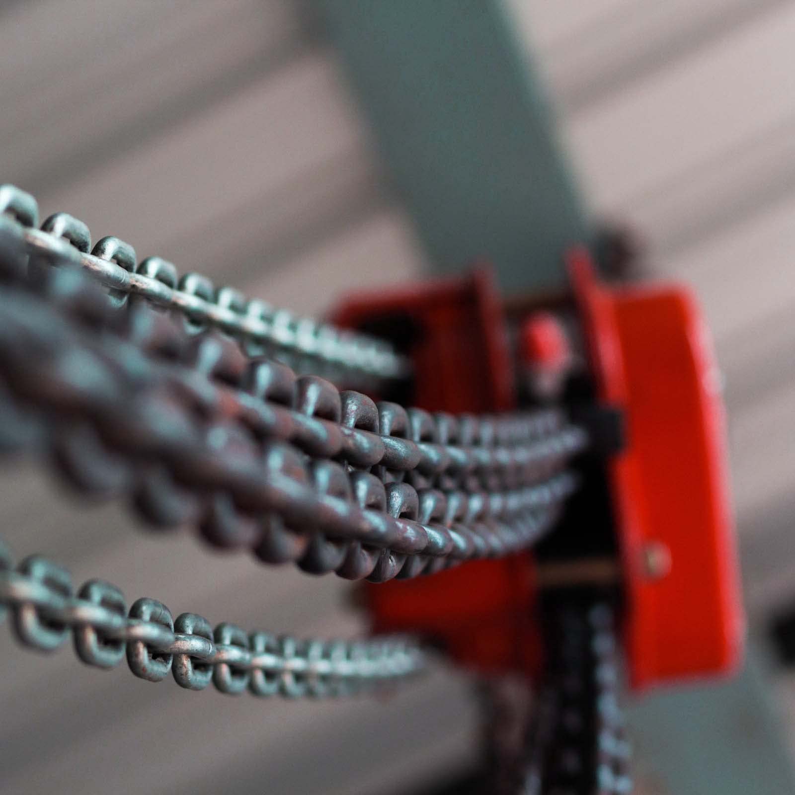 Wiltec Paranco a Catena Manuale 3000 kg 3 m Sollevamento 2,5 m