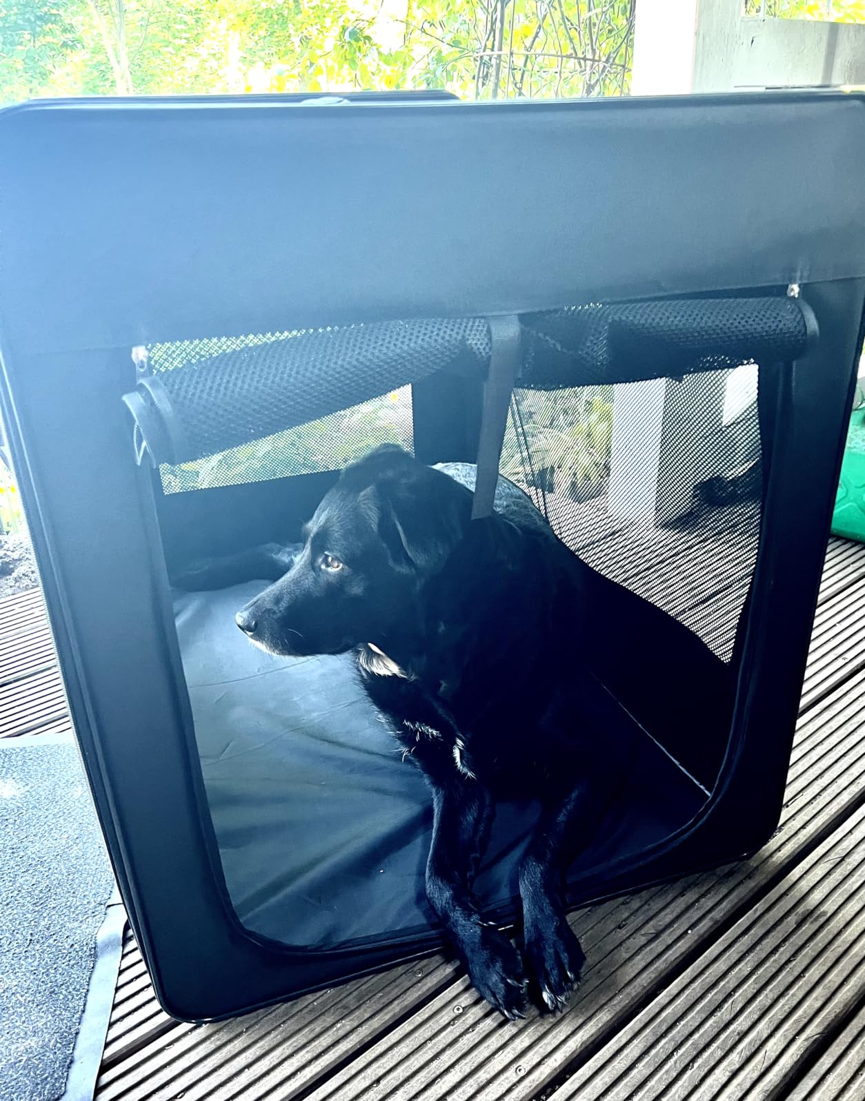 Wiltec trasportino pieghevole XL nero 94x66x74 cm con cuscino