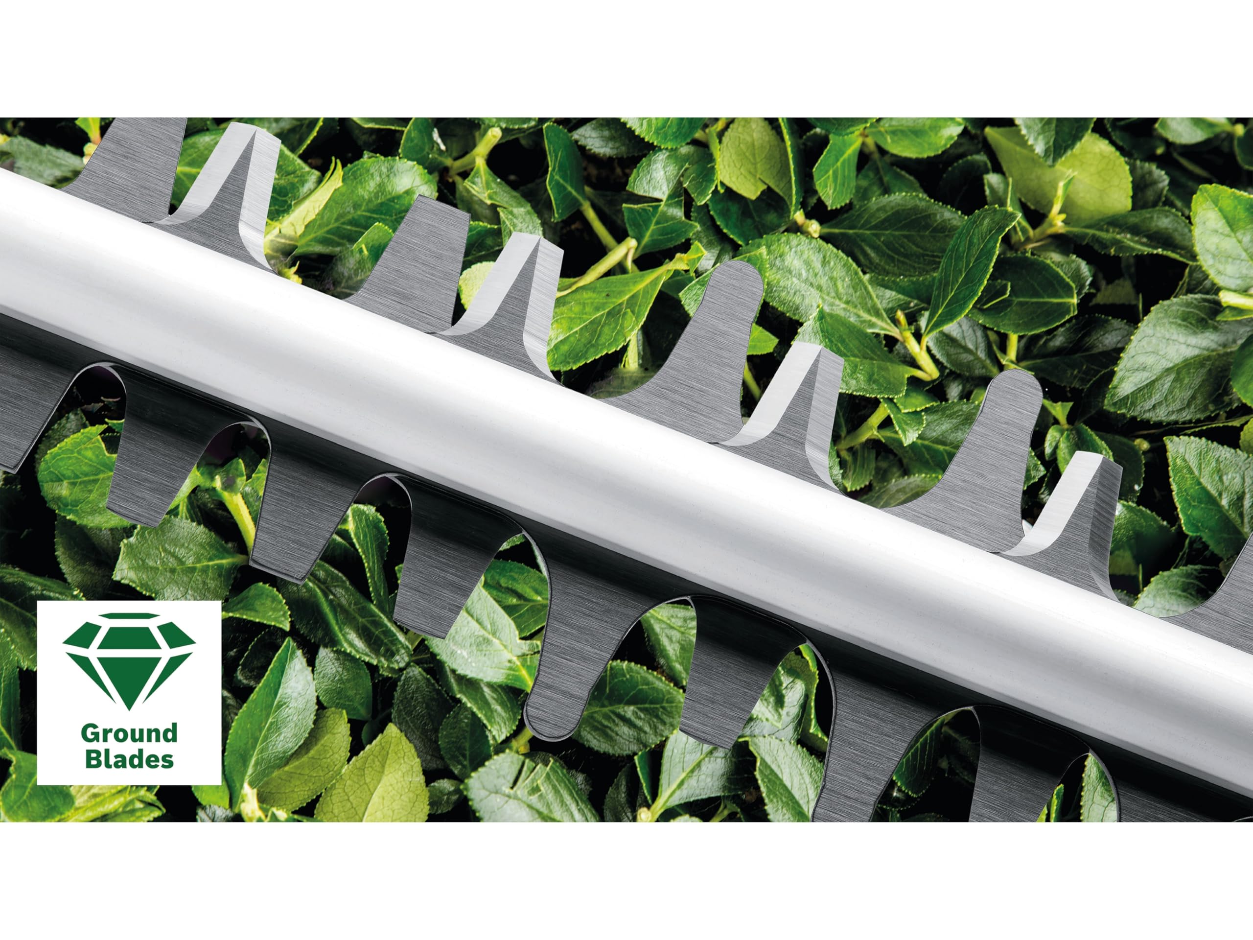 Bosch EasyHedgeCut 45 Tagliasiepi Elettrico 420W