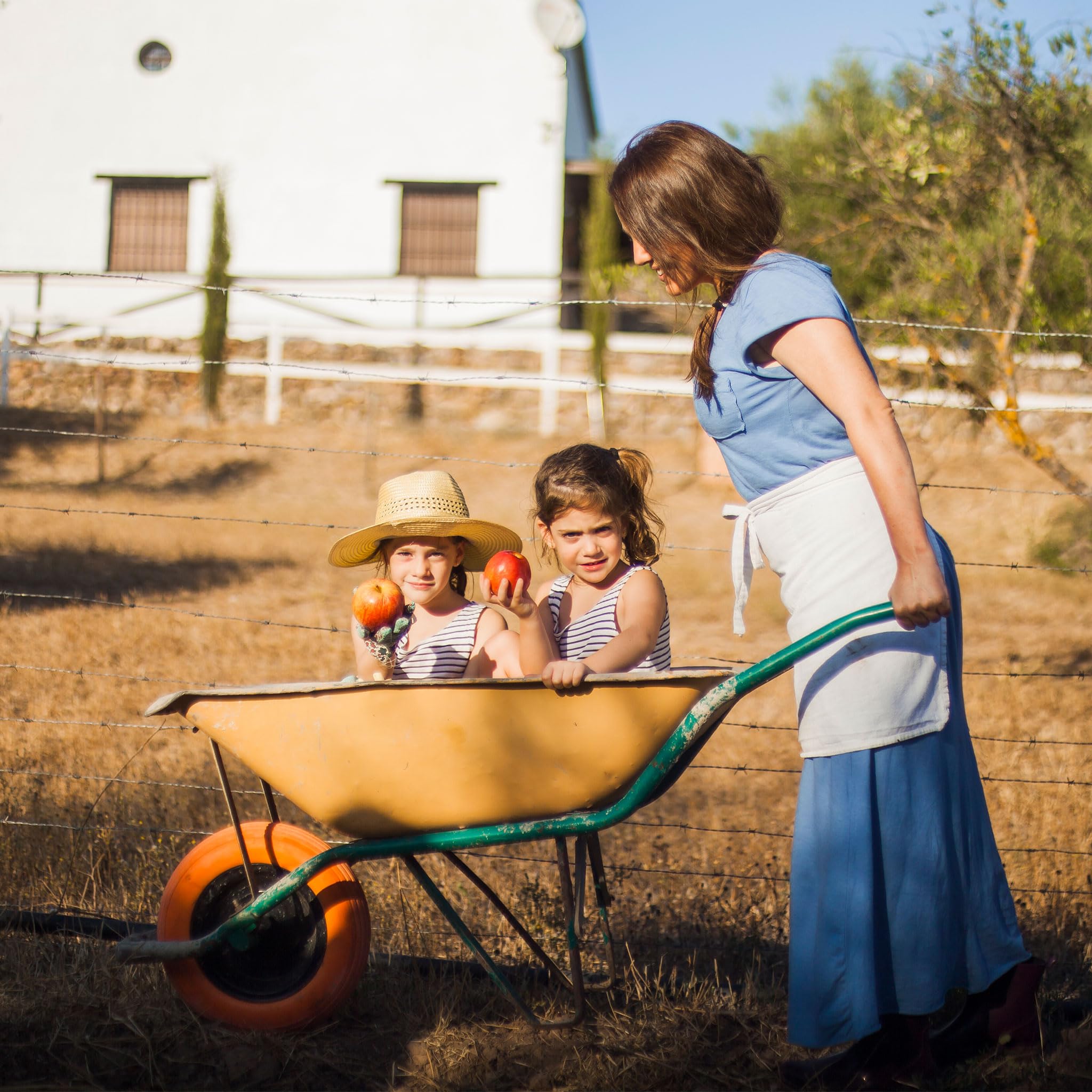 Wiltec Camera d'Aria 3.00/3.50-4 TR87 per Carriola