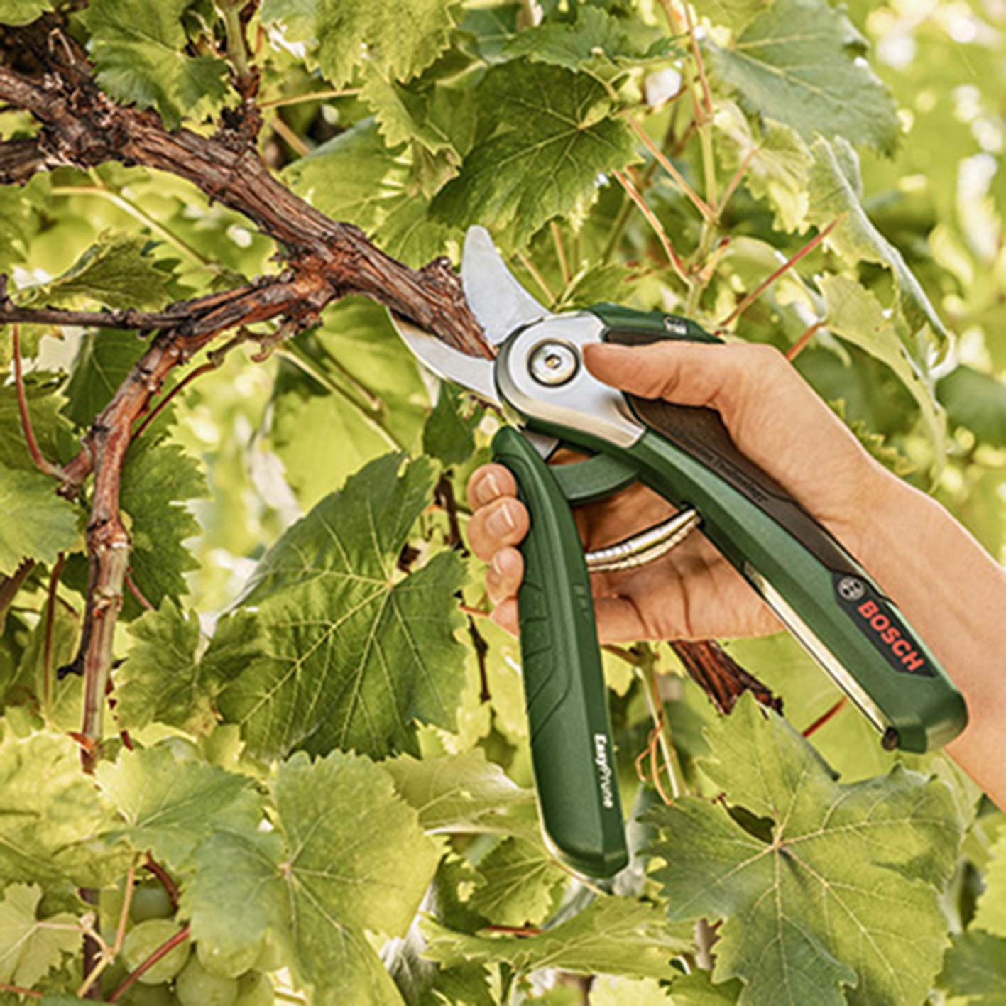Bosch EasyPrune lama ricambio inox bypass