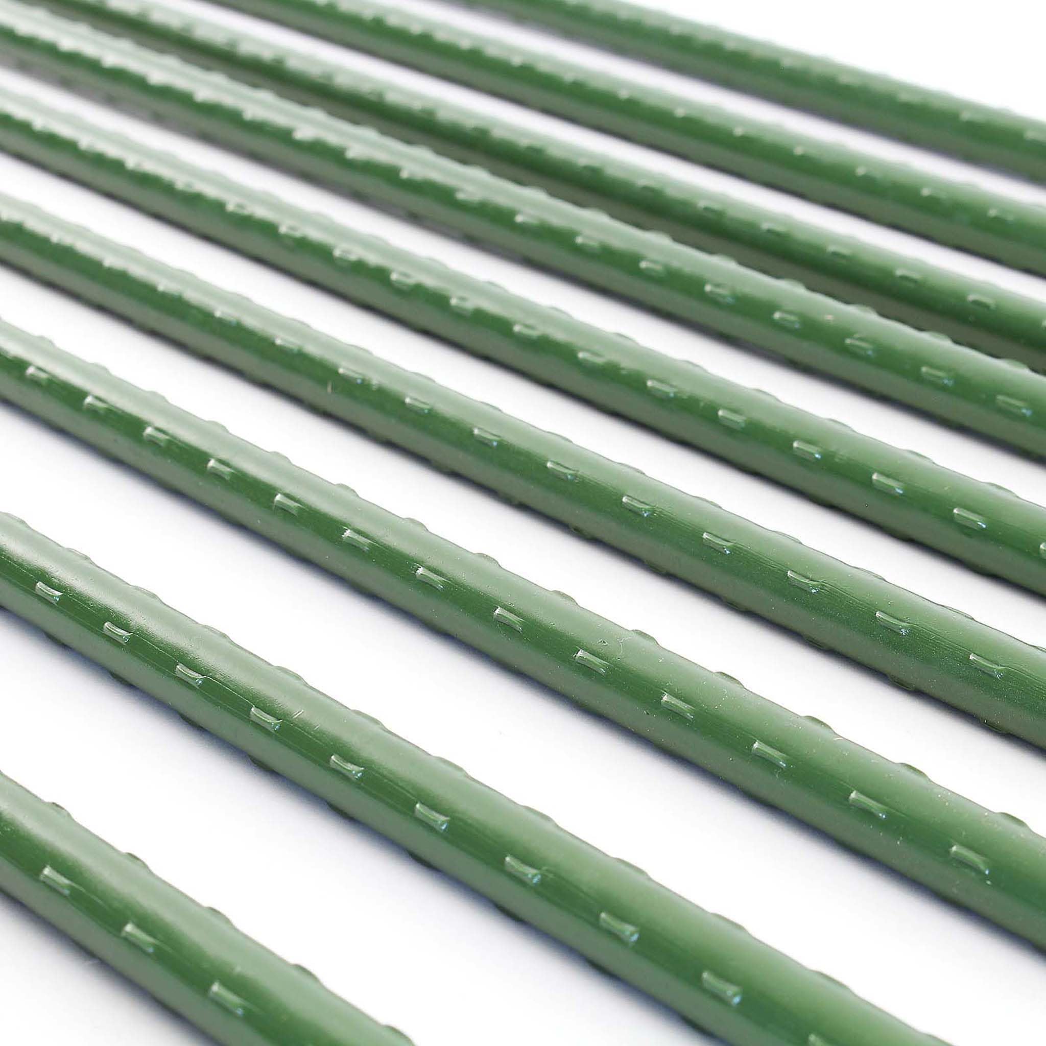 Wiltec Toboli pali per piante 20 pz 120 cm acciaio
