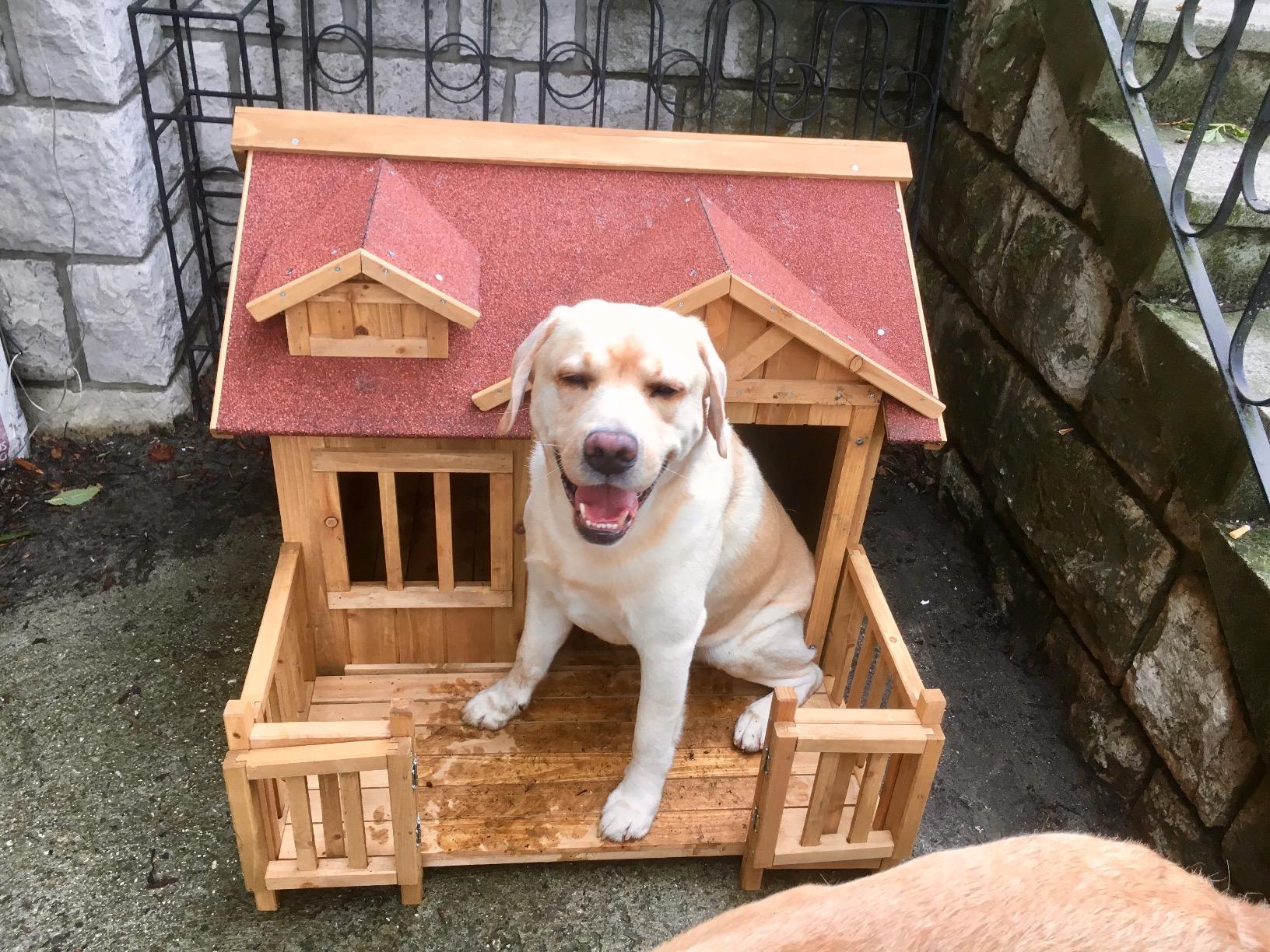 Wiltec Cuccia Cani XL in Legno Marrone con Terrazza