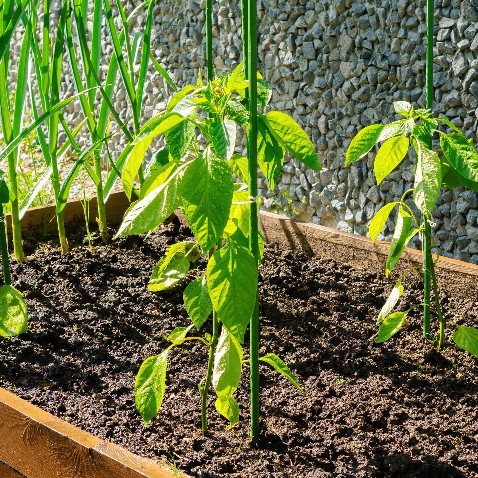 Wiltec Tutori per Piante 60cm Ø8mm Set 10pz Acciaio Verde
