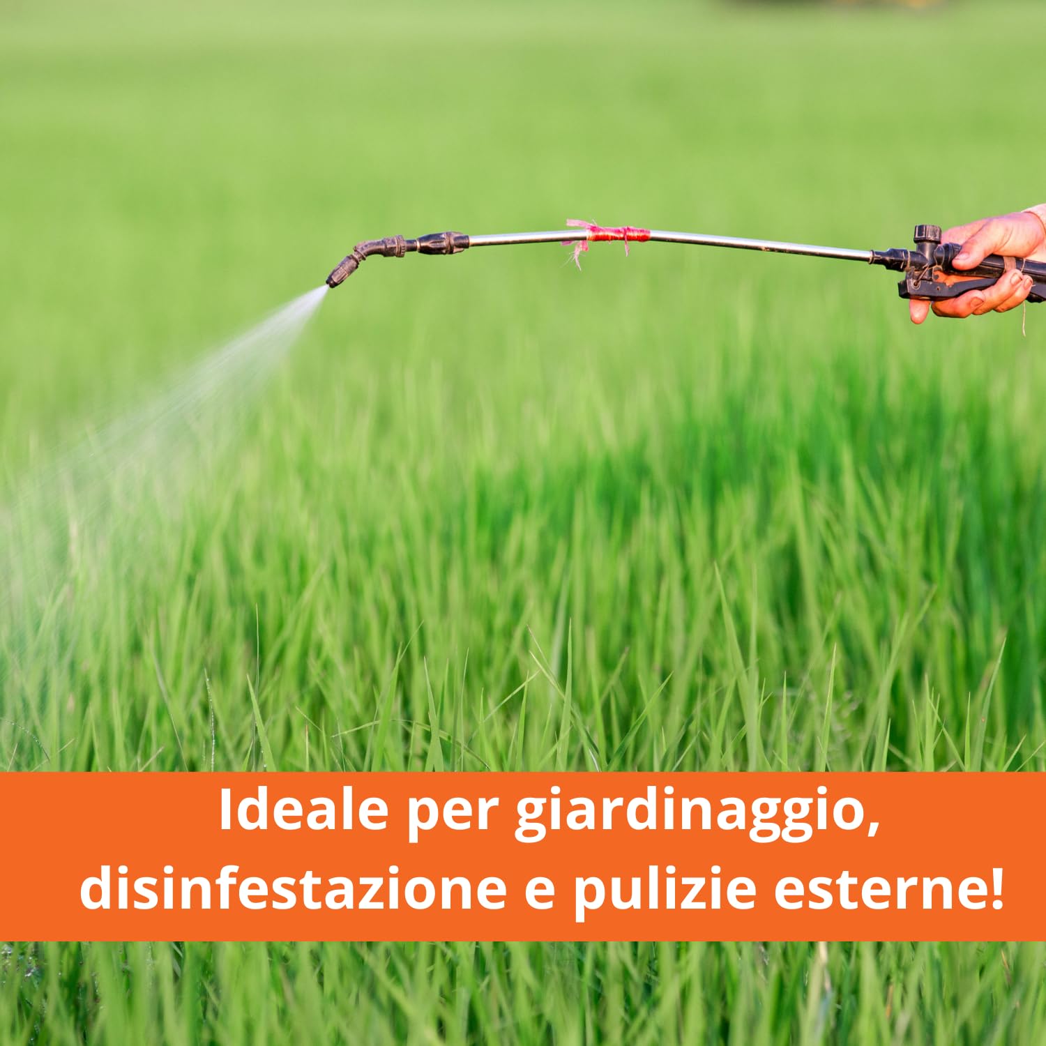 DE ROSA SHOP Pompa Irroratrice Batteria 16L 12V a spalla verderame