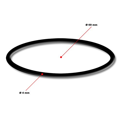 Wiltec O-ring 6 ricambio pompa piscina 50919