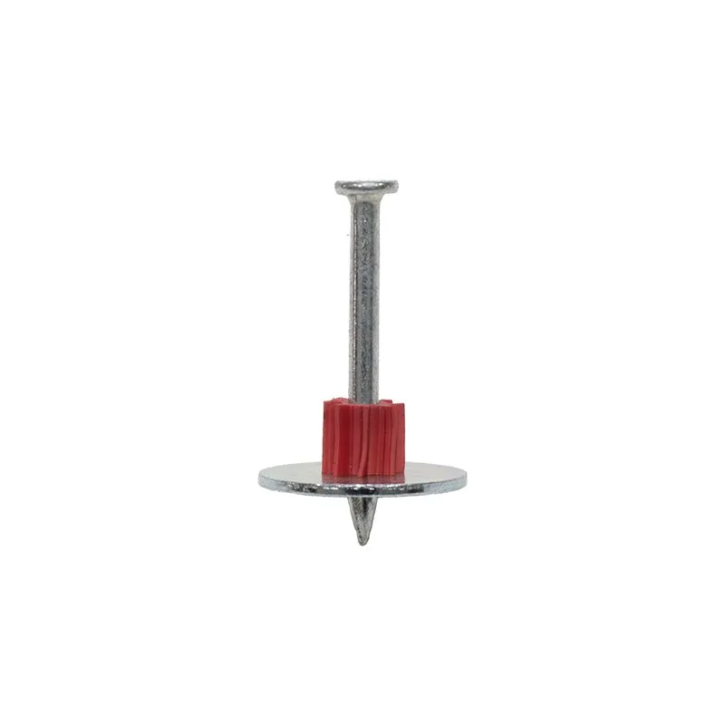 Bormann Chiodo 42 mm con Rondella 25 mm per BAT6300